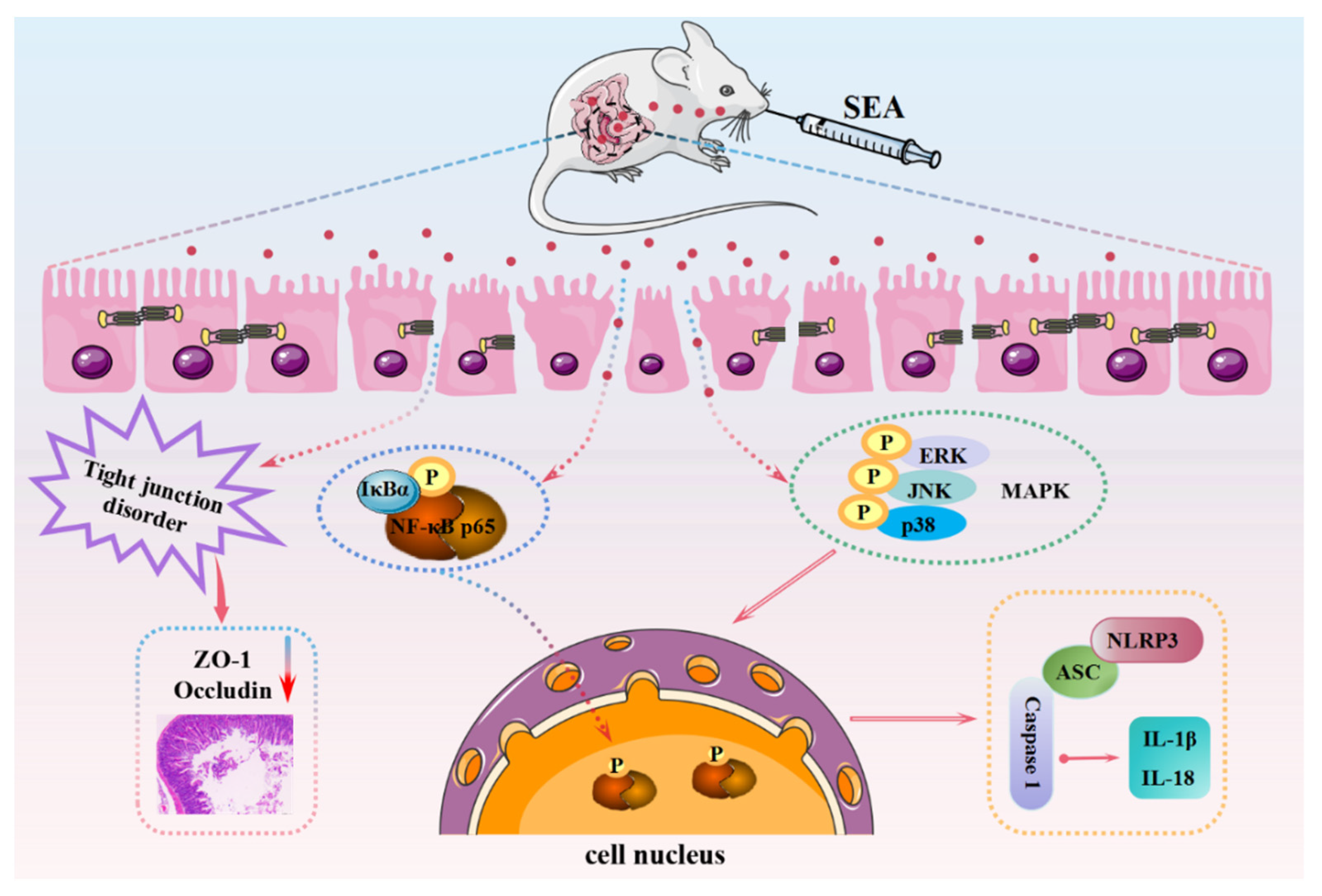 Toxins 14 00029 g011
