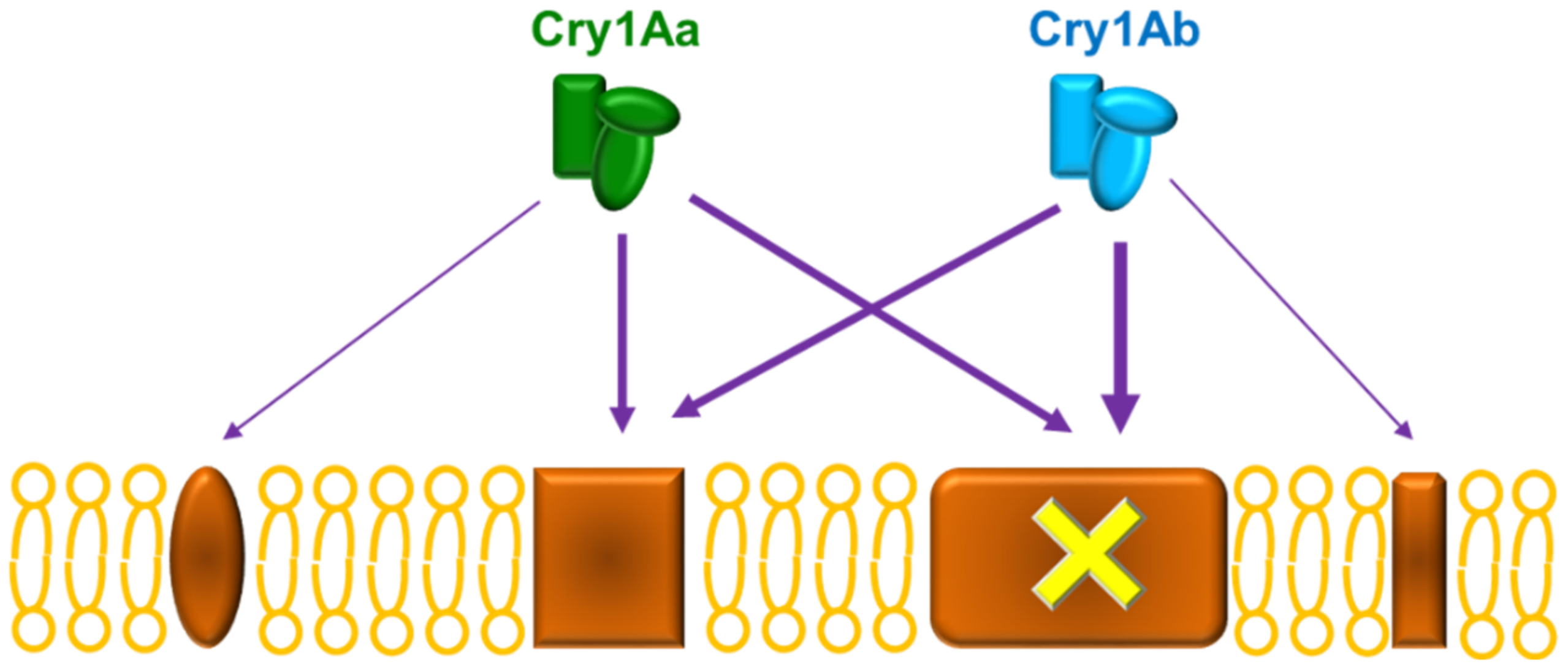 Toxins 14 00032 g005 Toxins 14 00032 g005