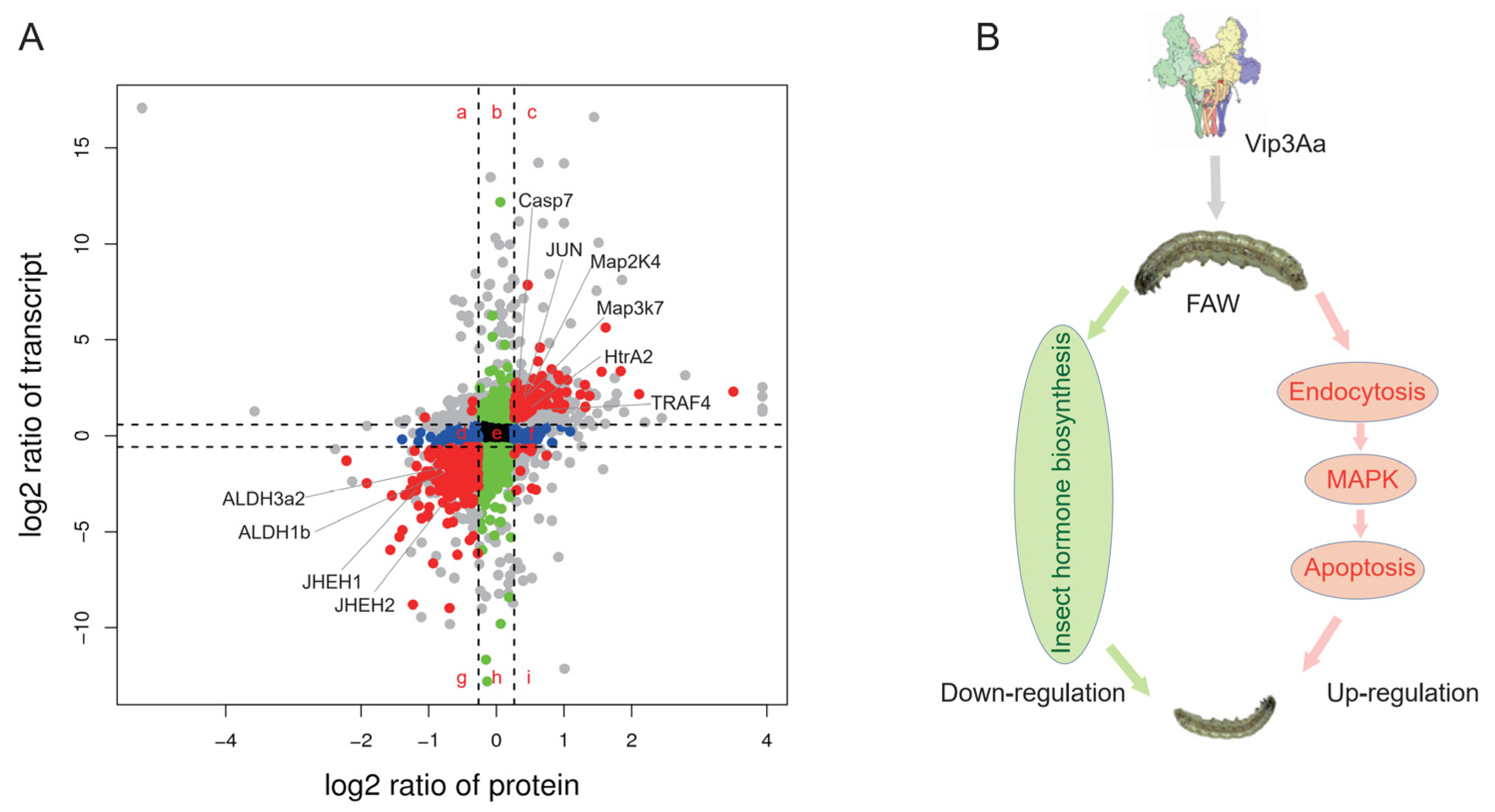 Toxins 14 00055 g004 550