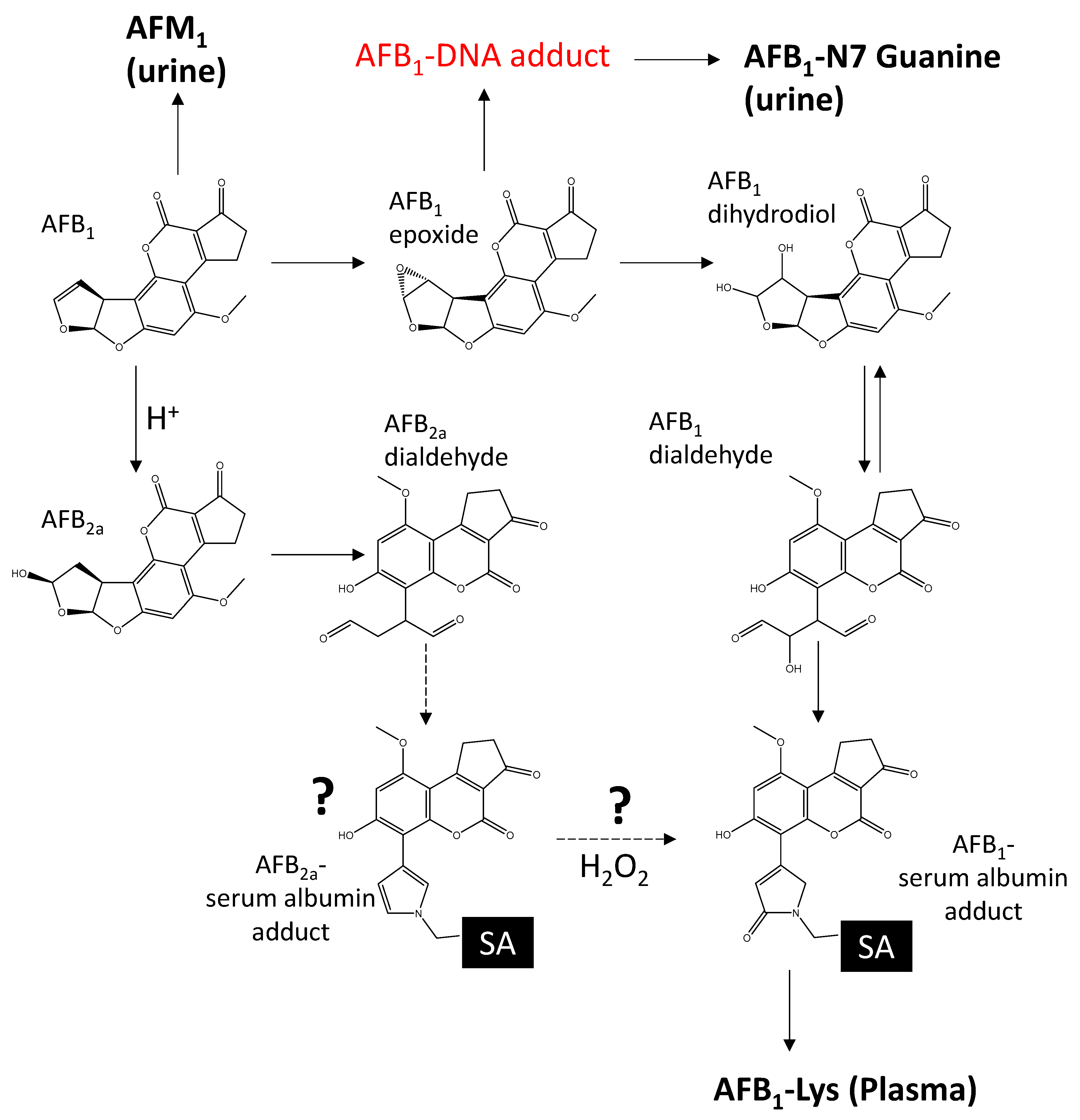 Toxins 14 00056 sch001 Toxins 14 00056 sch001