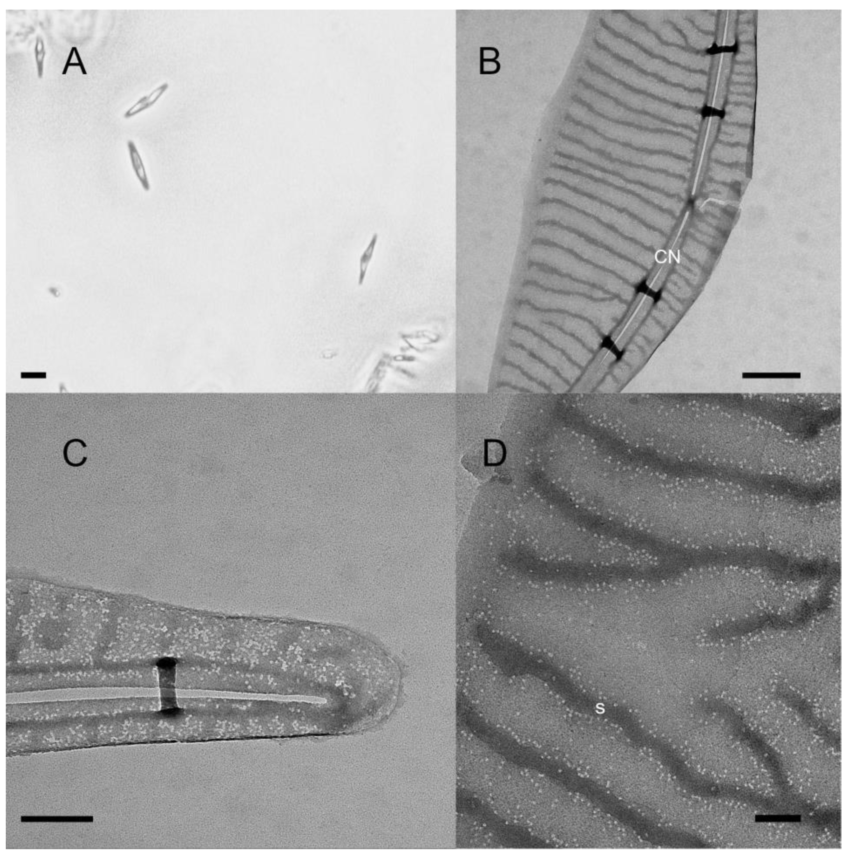 Toxins 14 00060 g004 Toxins 14 00060 g004