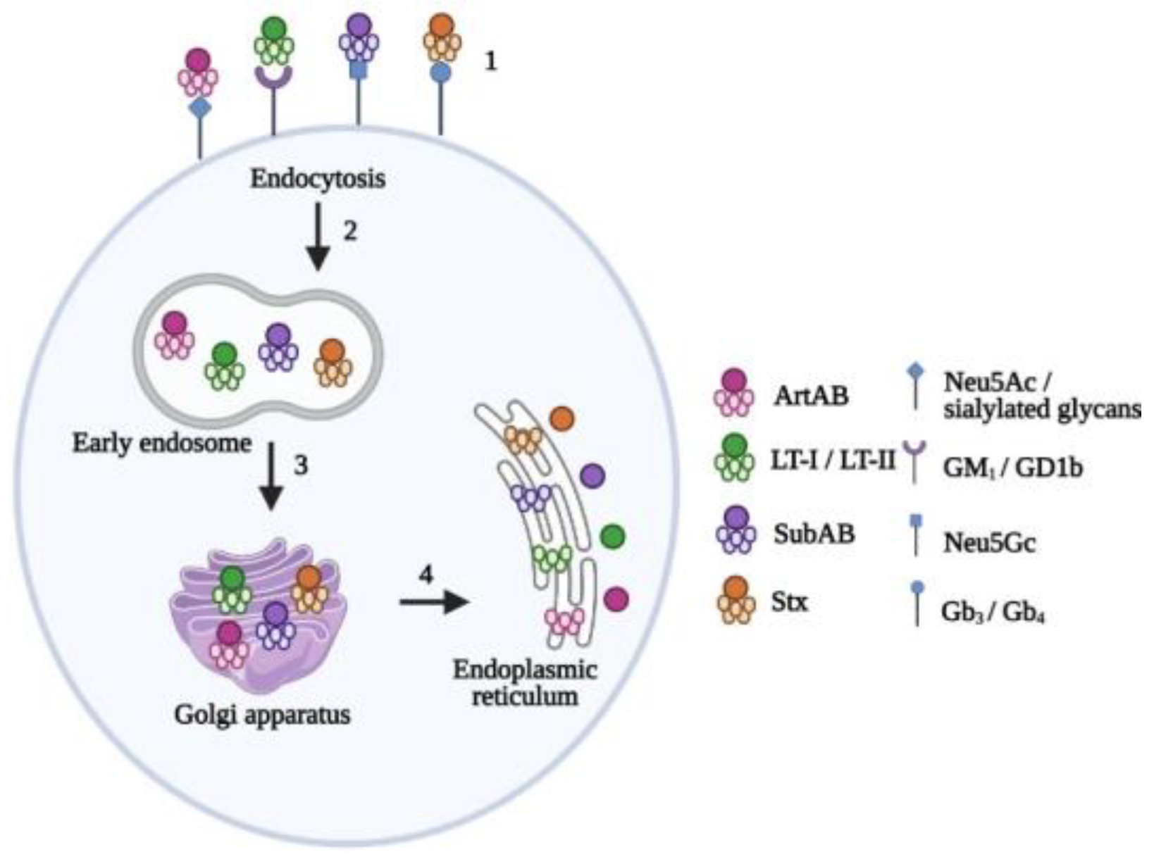 Toxins 14 00062 g002 Toxins 14 00062 g002