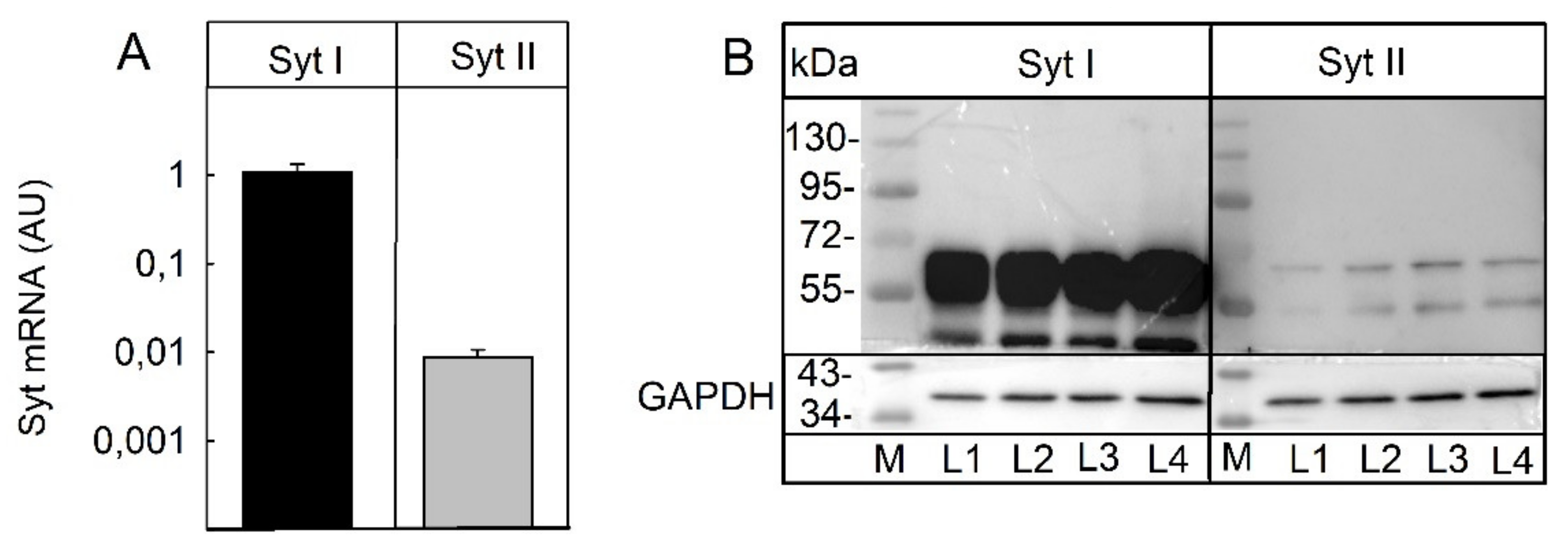Toxins 14 00065 g003