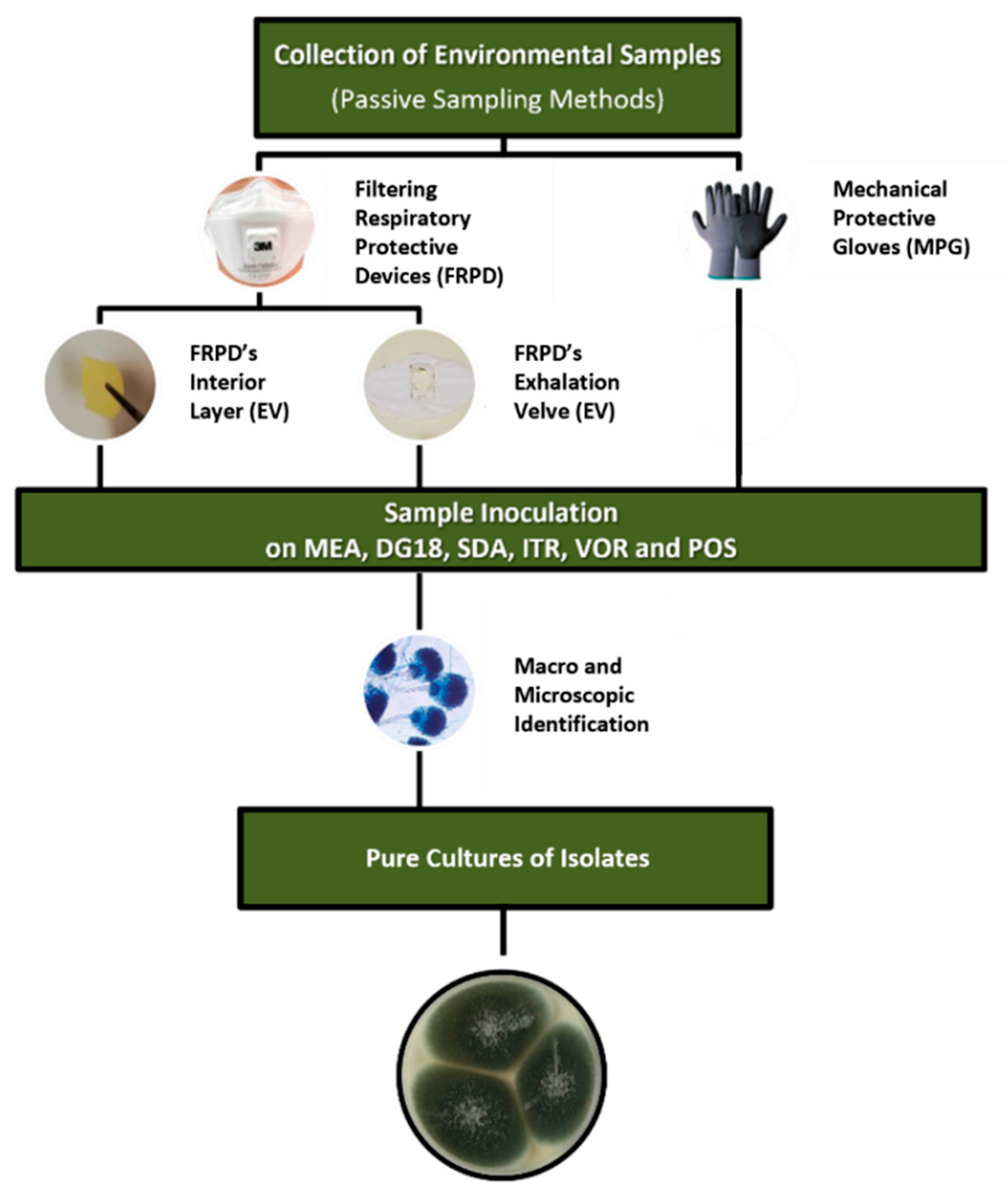 Toxins 14 00070 g001