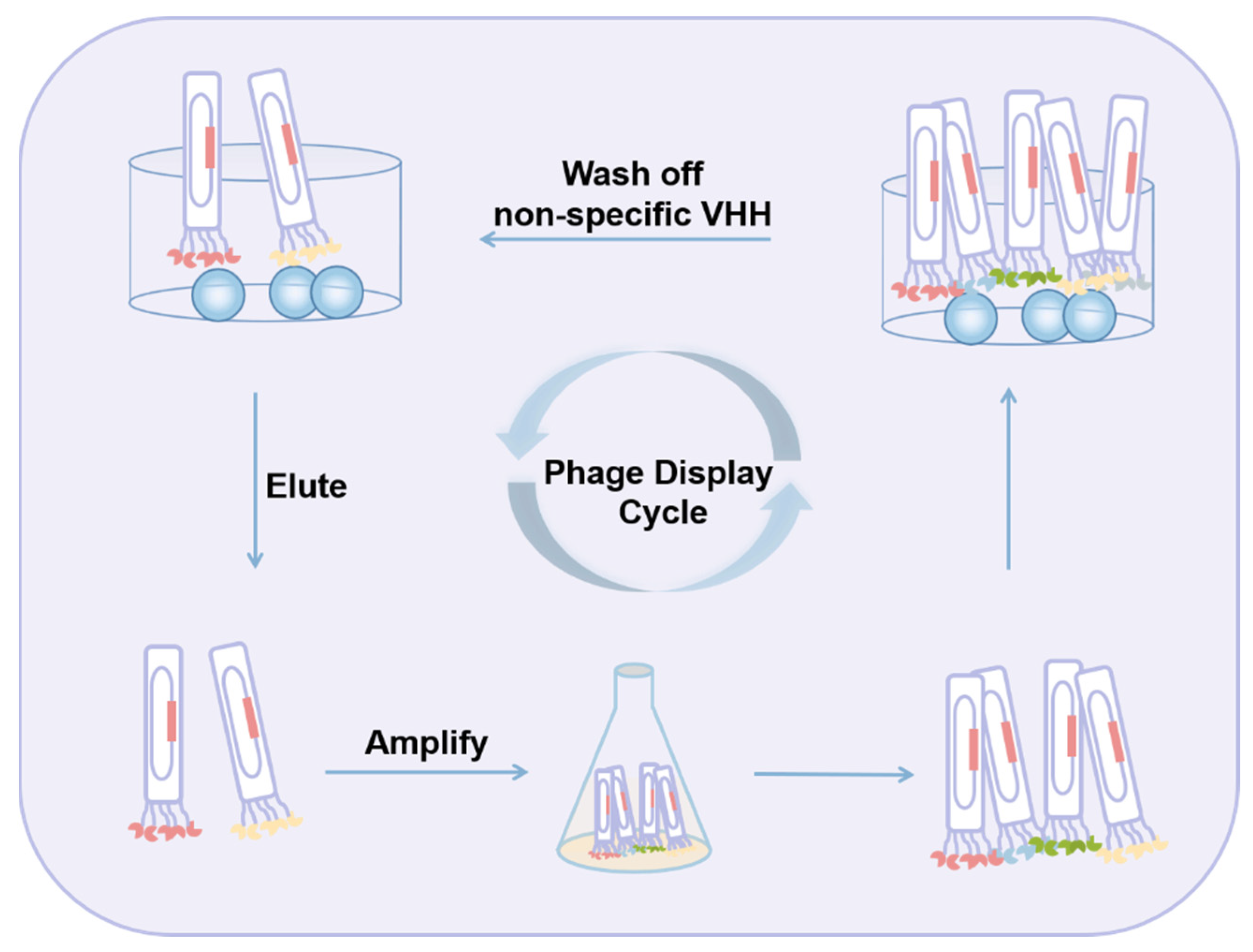 Toxins 14 00073 g004