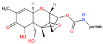 Toxins 14 00073 i015