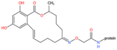 Toxins 14 00073 i017