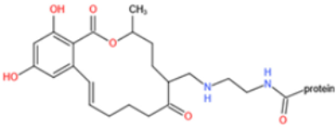 Toxins 14 00073 i019