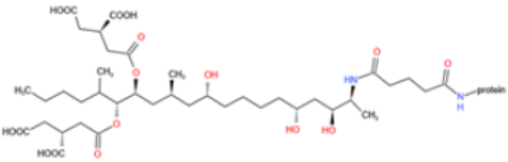 Toxins 14 00073 i021