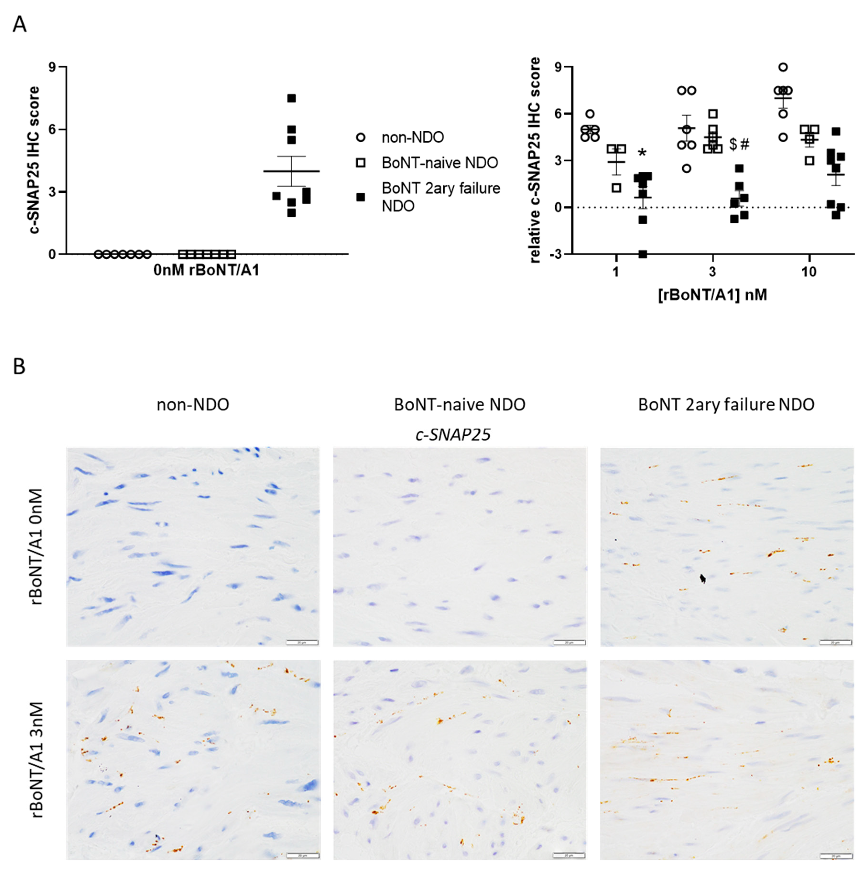 Toxins 14 00077 g002