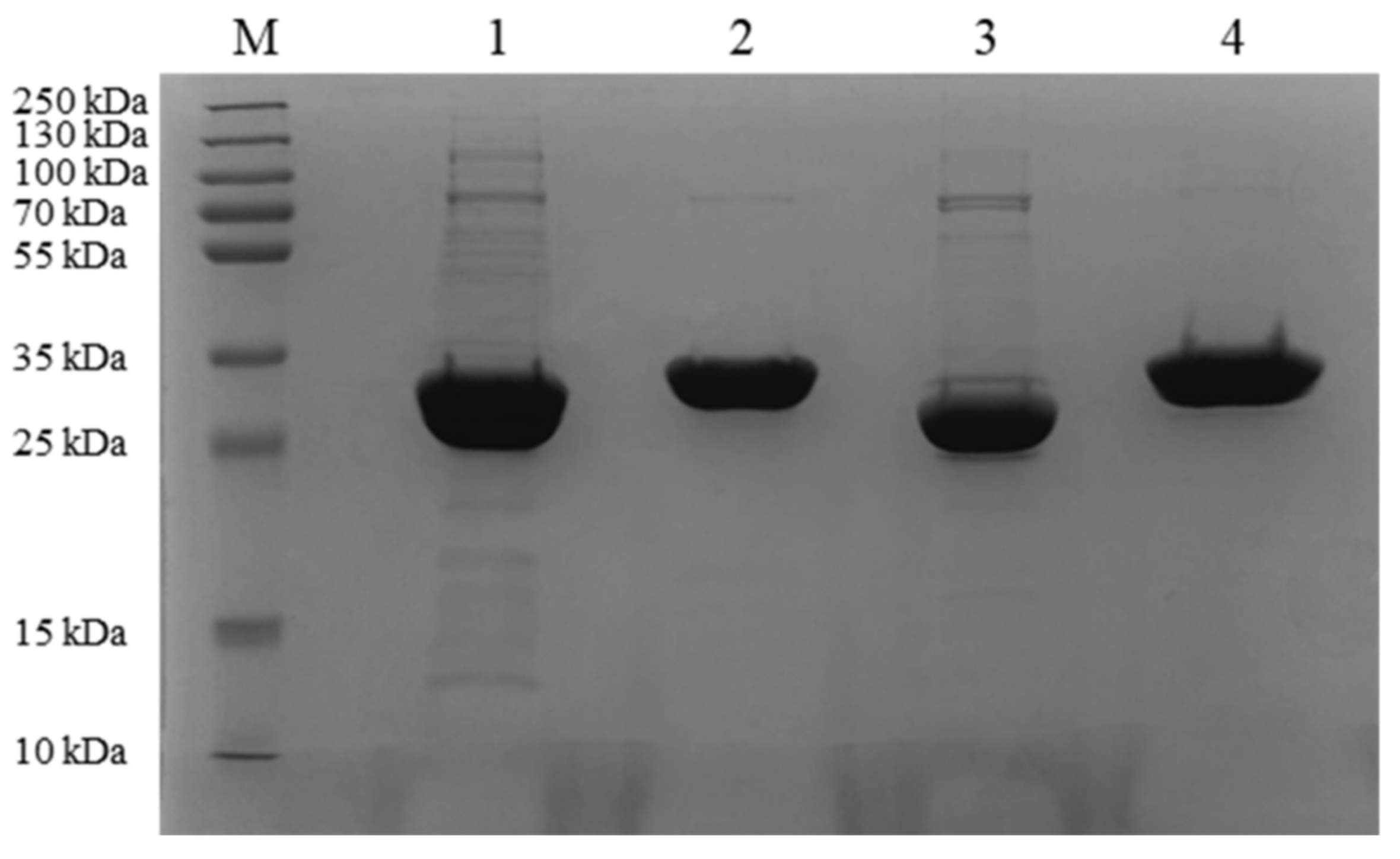 Toxins 14 00082 g004