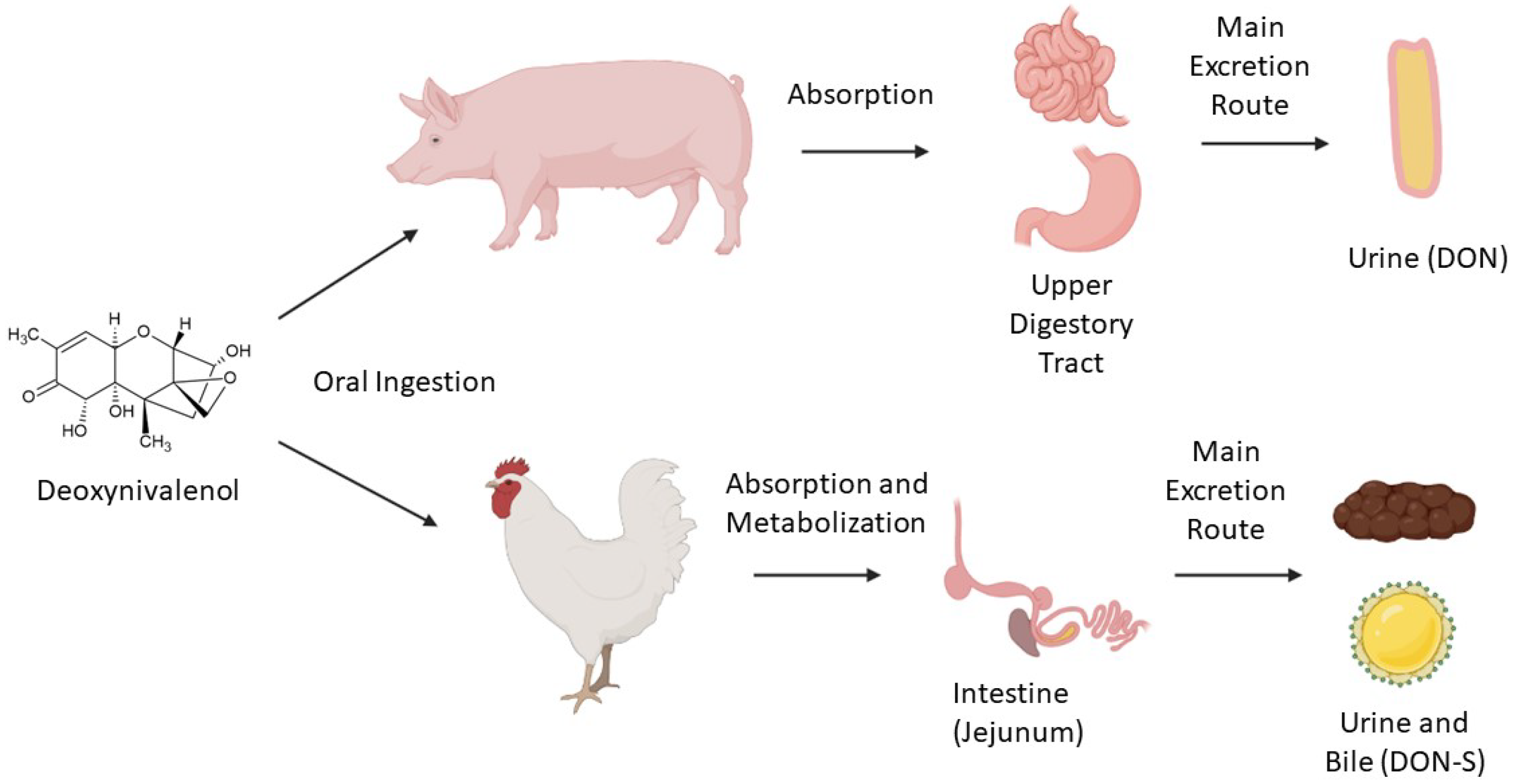 Toxins 14 00090 g001 550