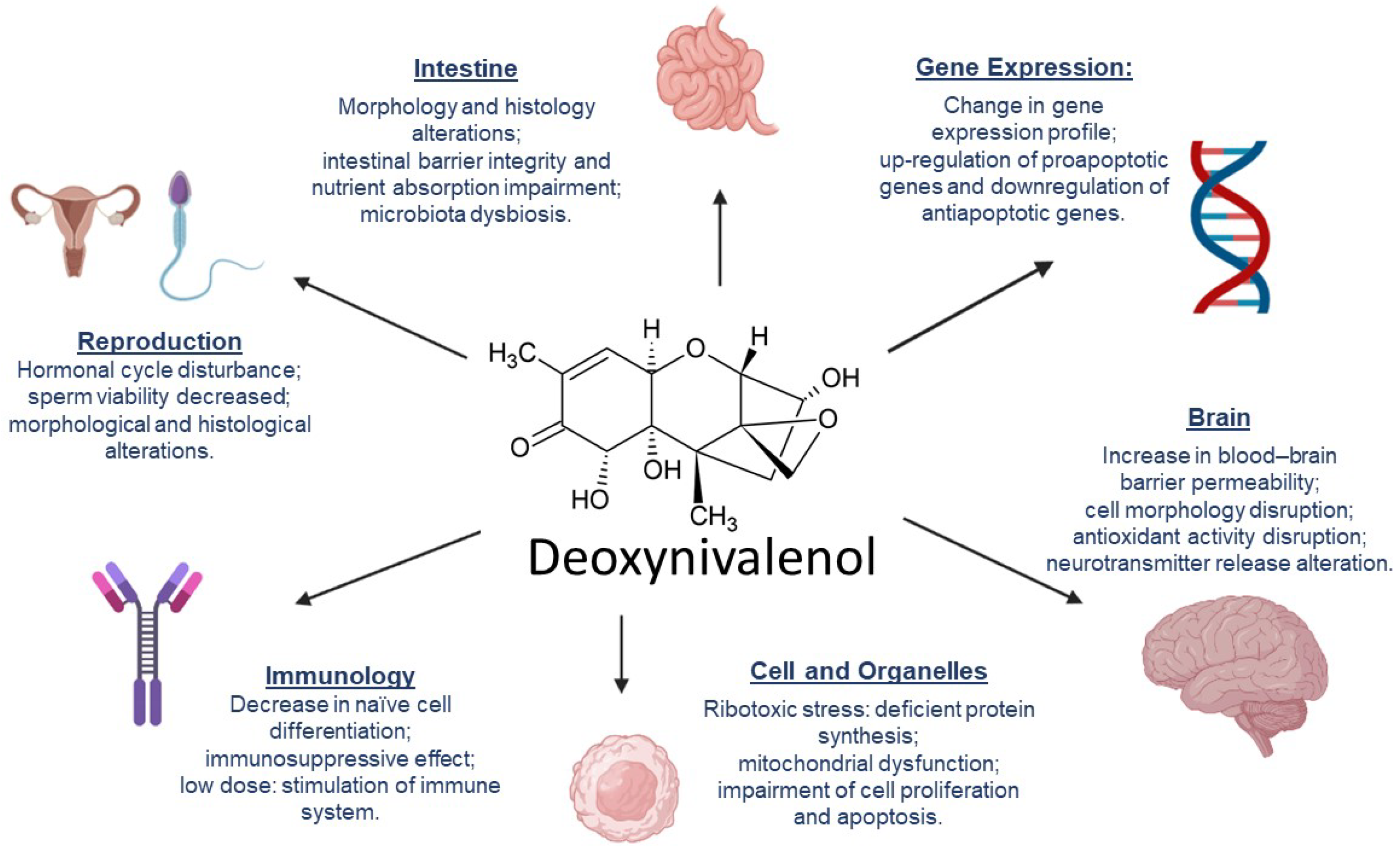 Toxins 14 00090 g002 550