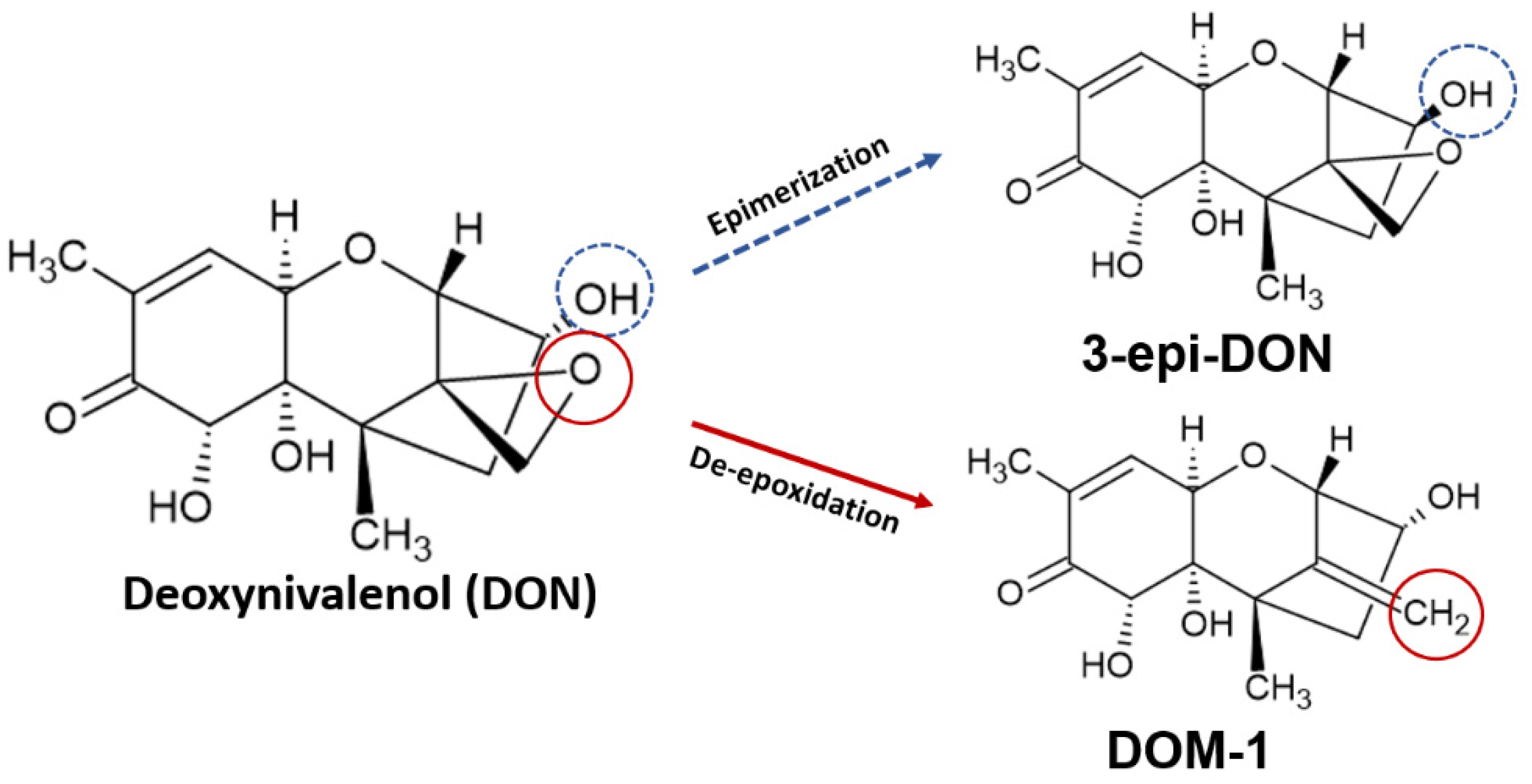 Toxins 14 00090 g003 550