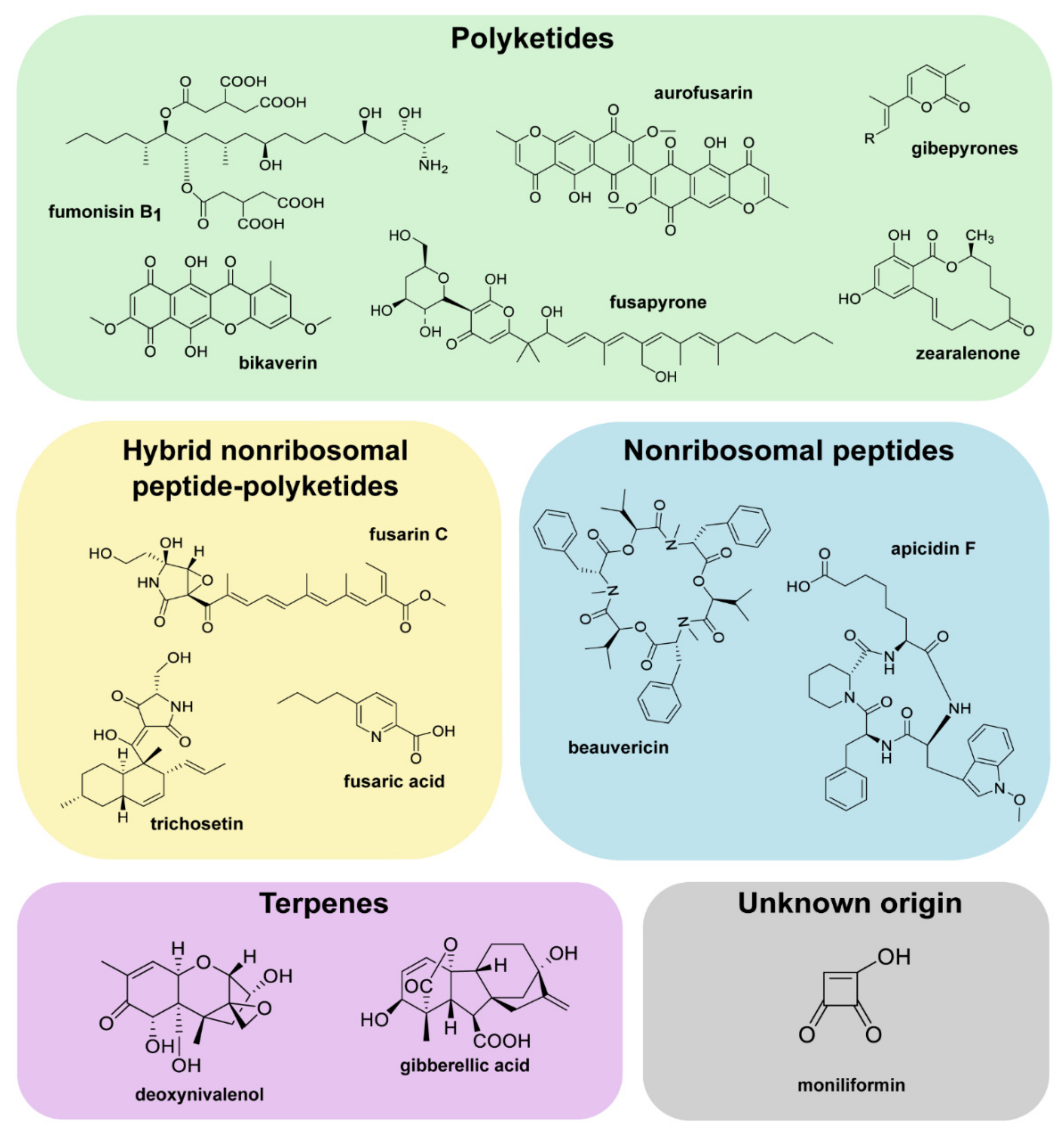 Toxins 14 00096 g001