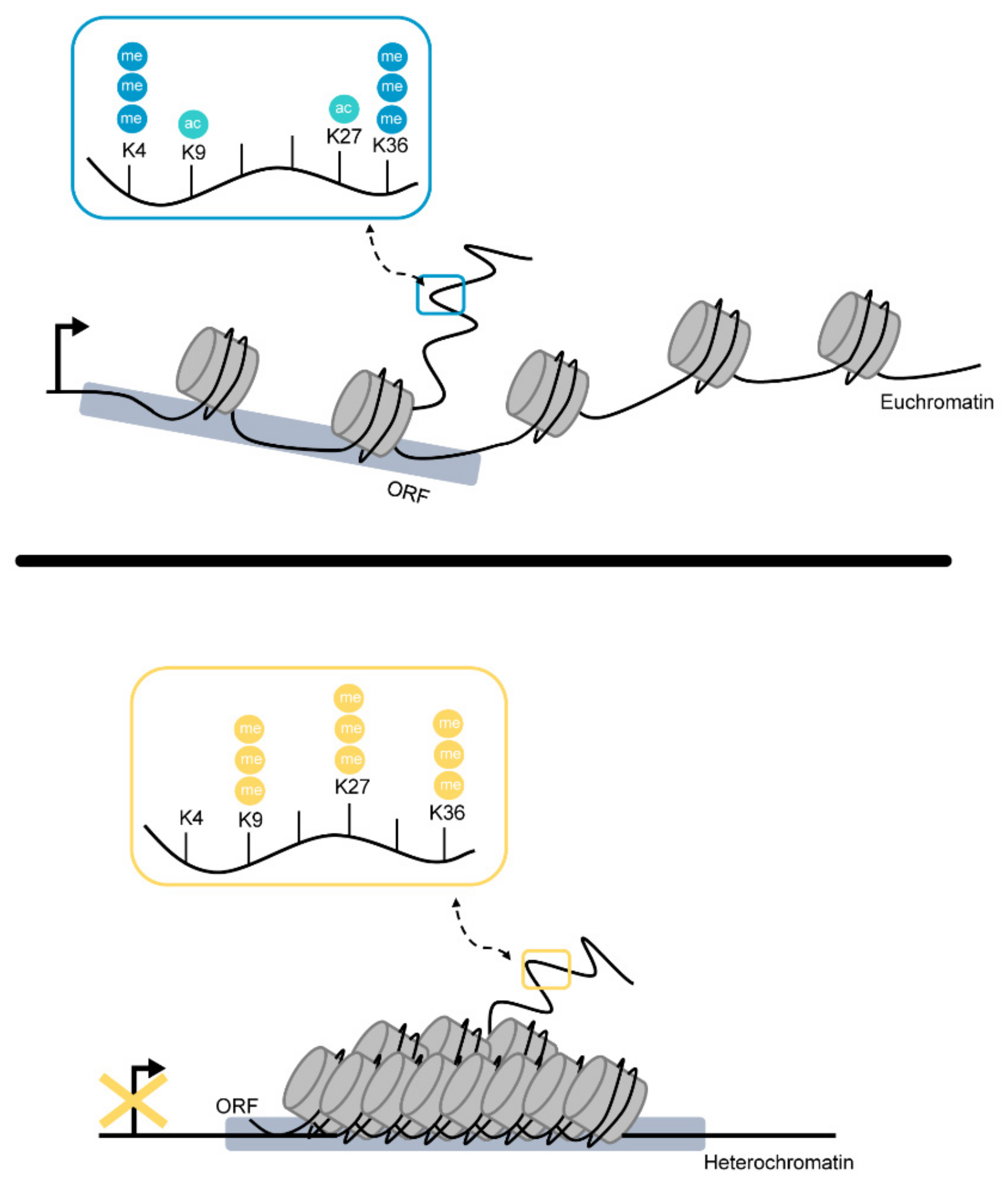 Toxins 14 00096 g002