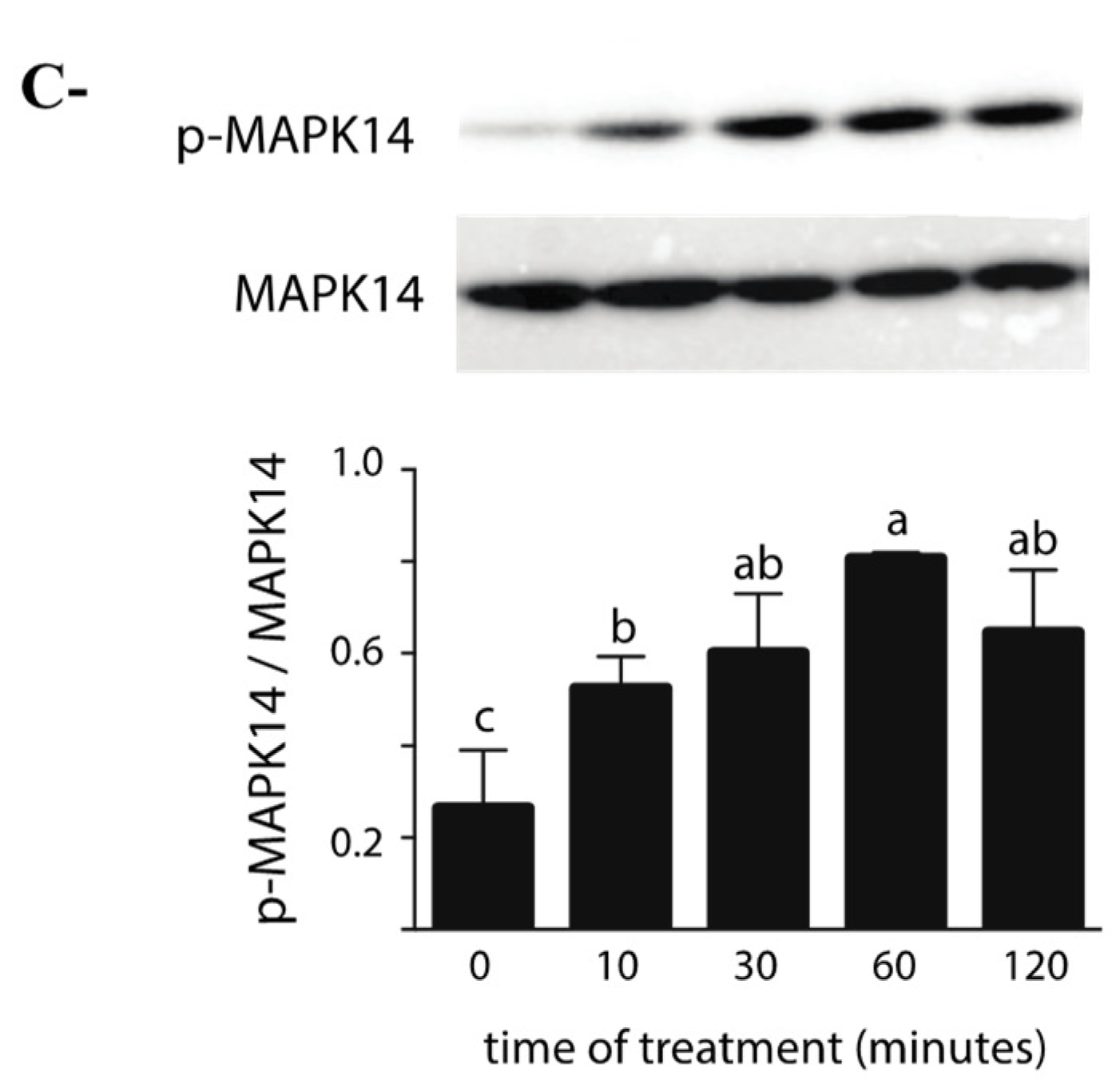 Toxins 14 00098 g002b