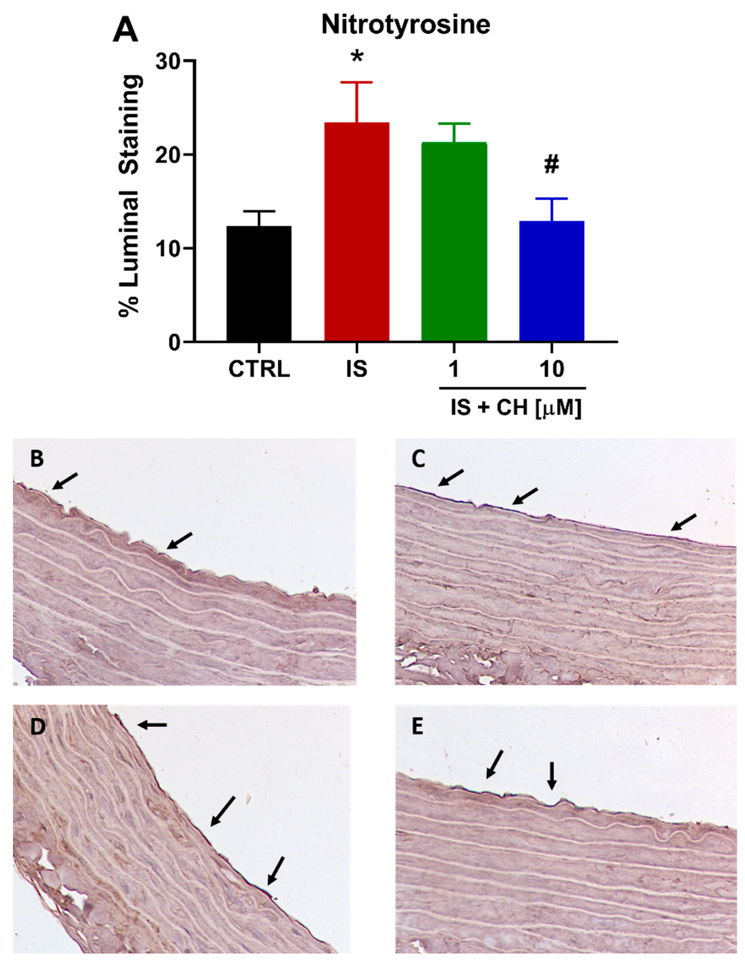 Toxins 14 00100 g005