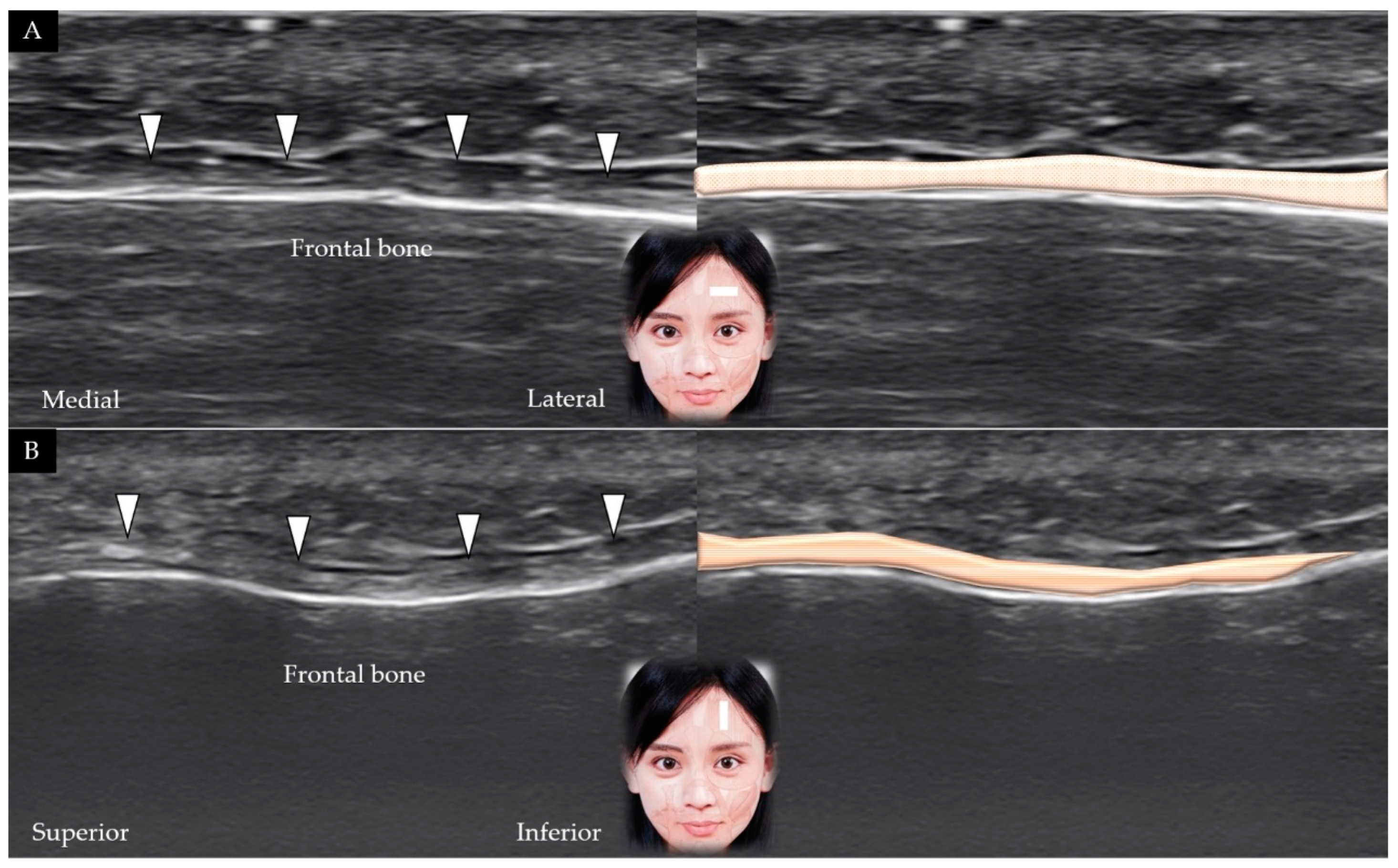 Toxins 14 00101 g002