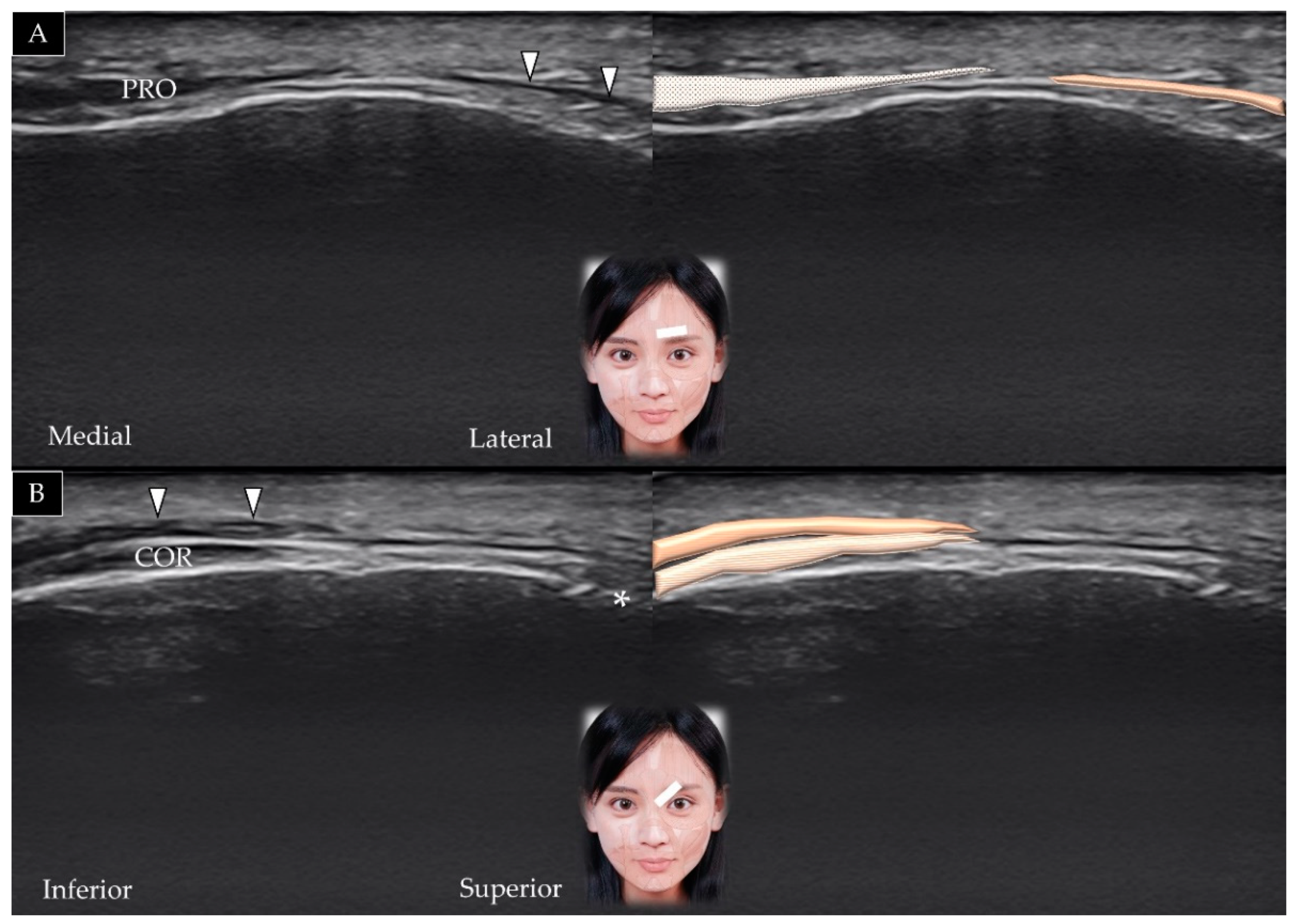Toxins 14 00101 g005