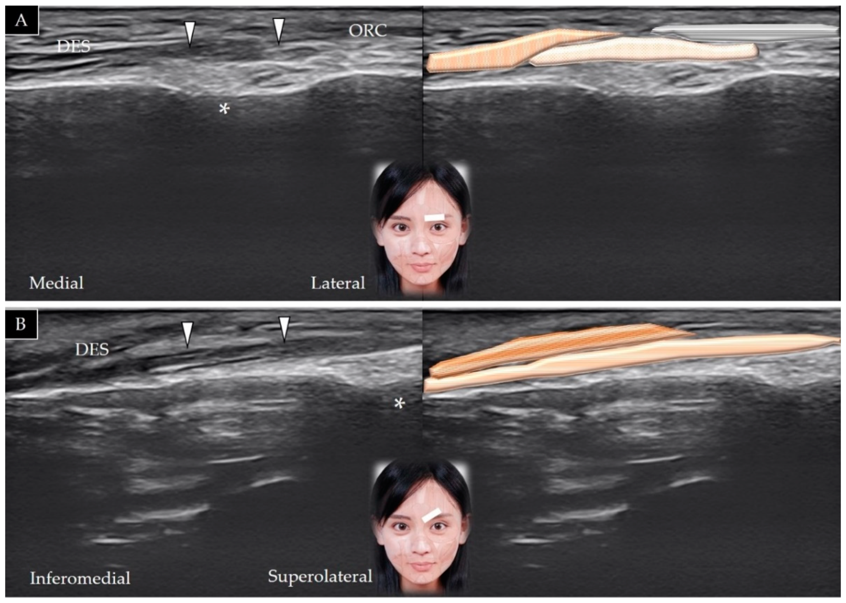 Toxins 14 00101 g006