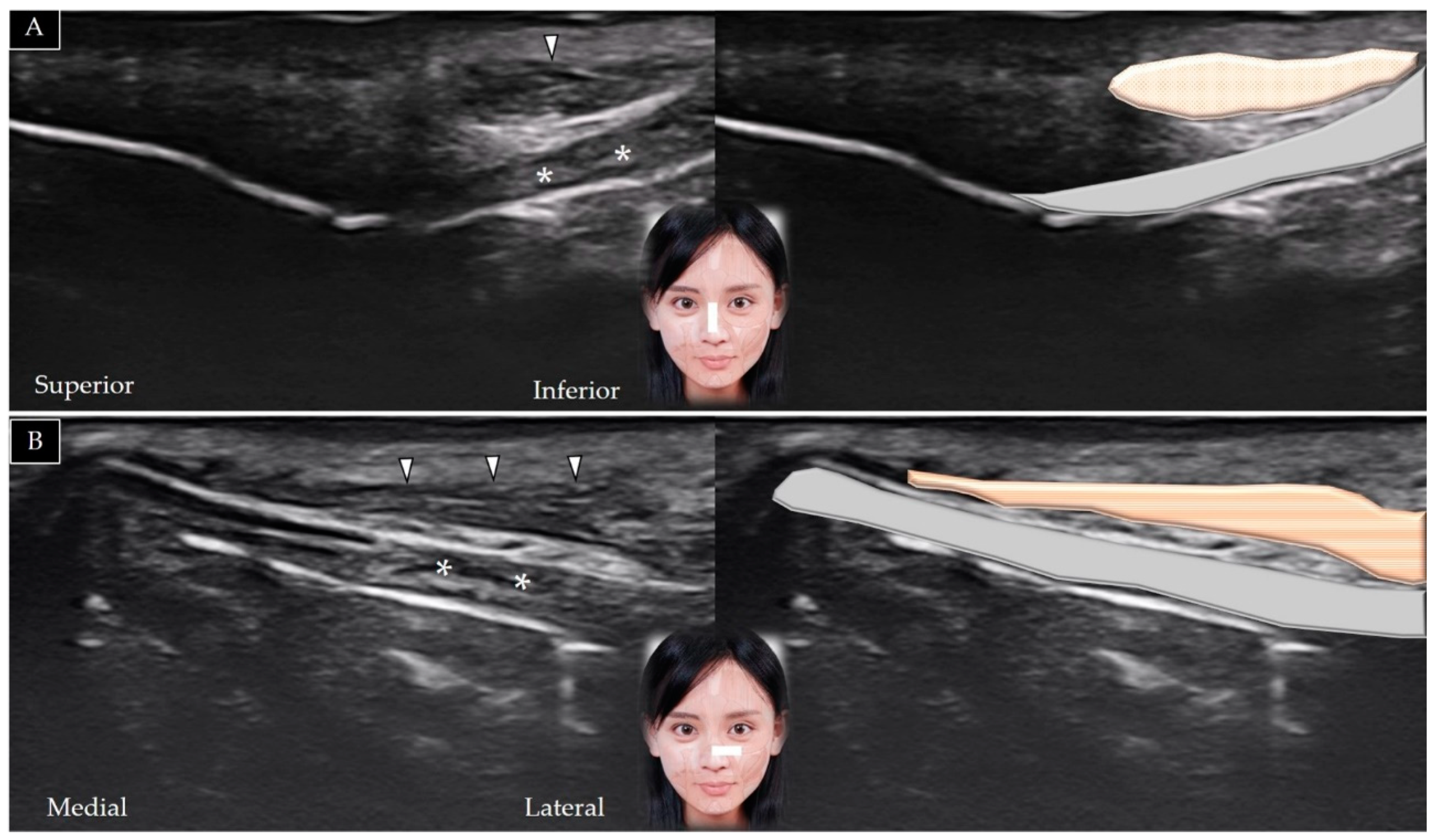 Toxins 14 00101 g008