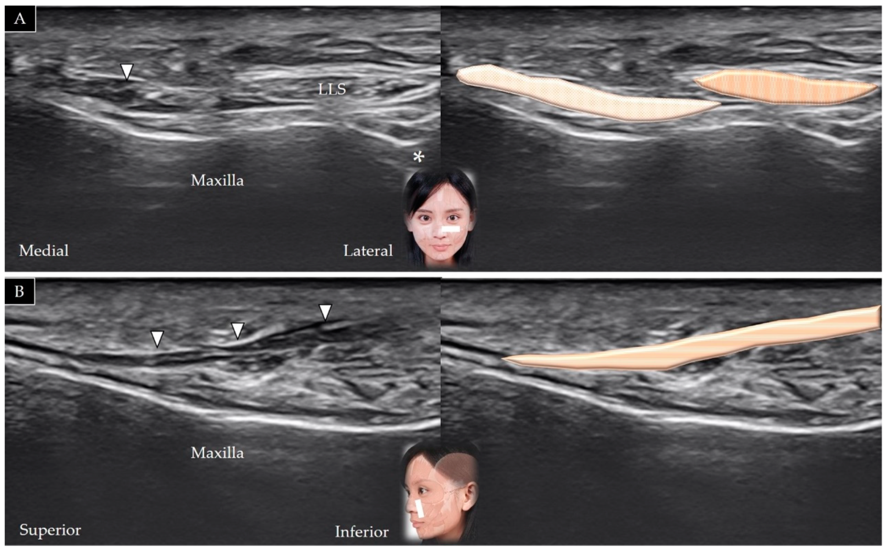 Toxins 14 00101 g009