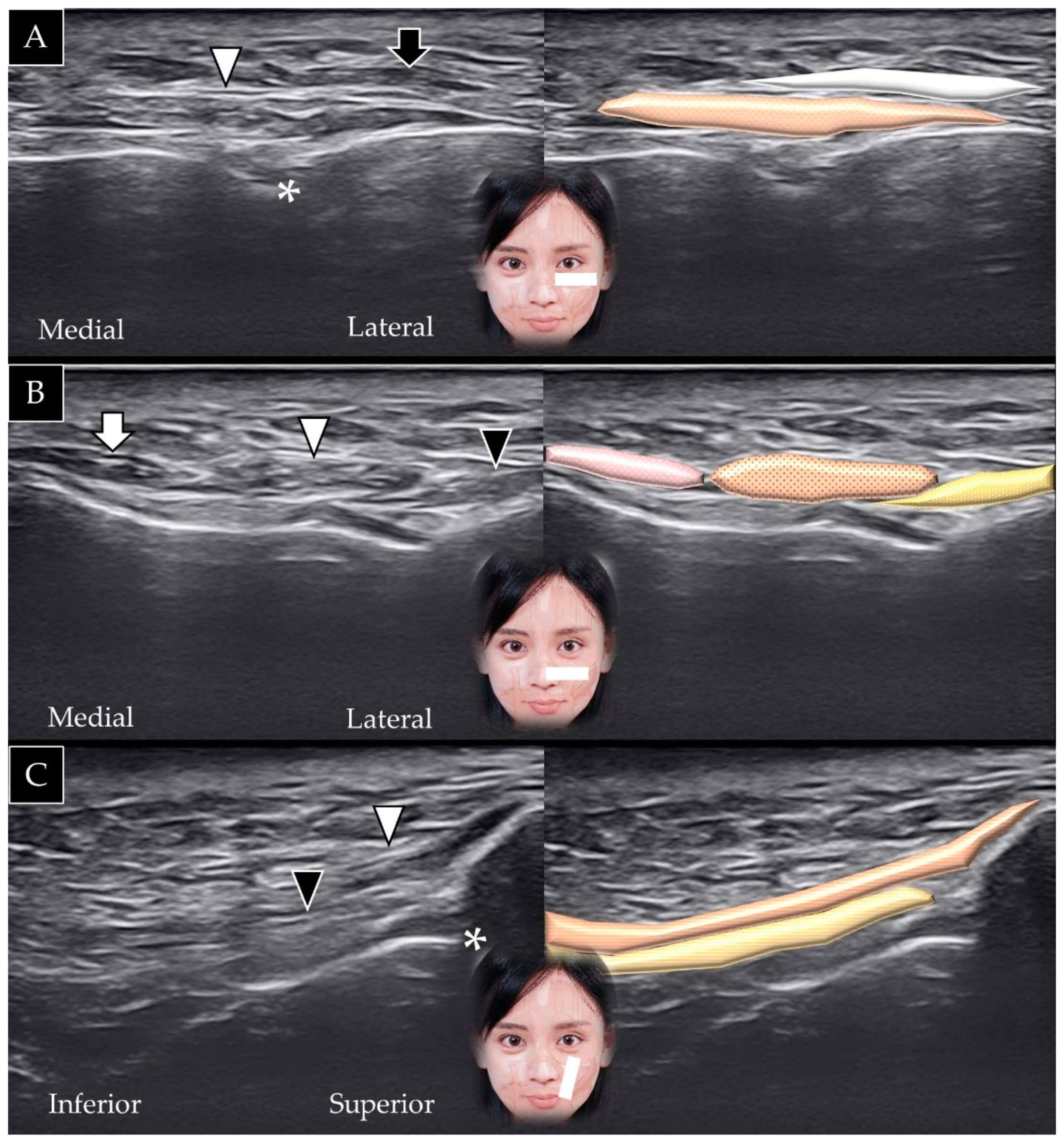 Toxins 14 00101 g010