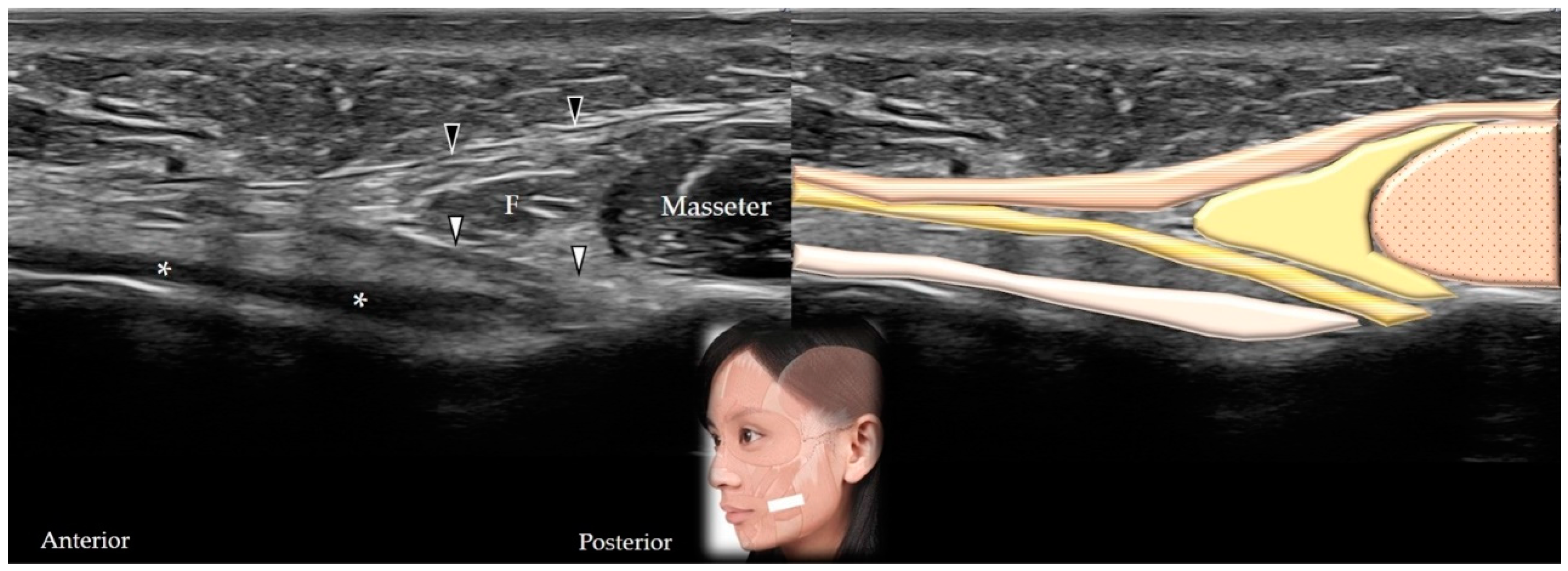 Toxins 14 00101 g015