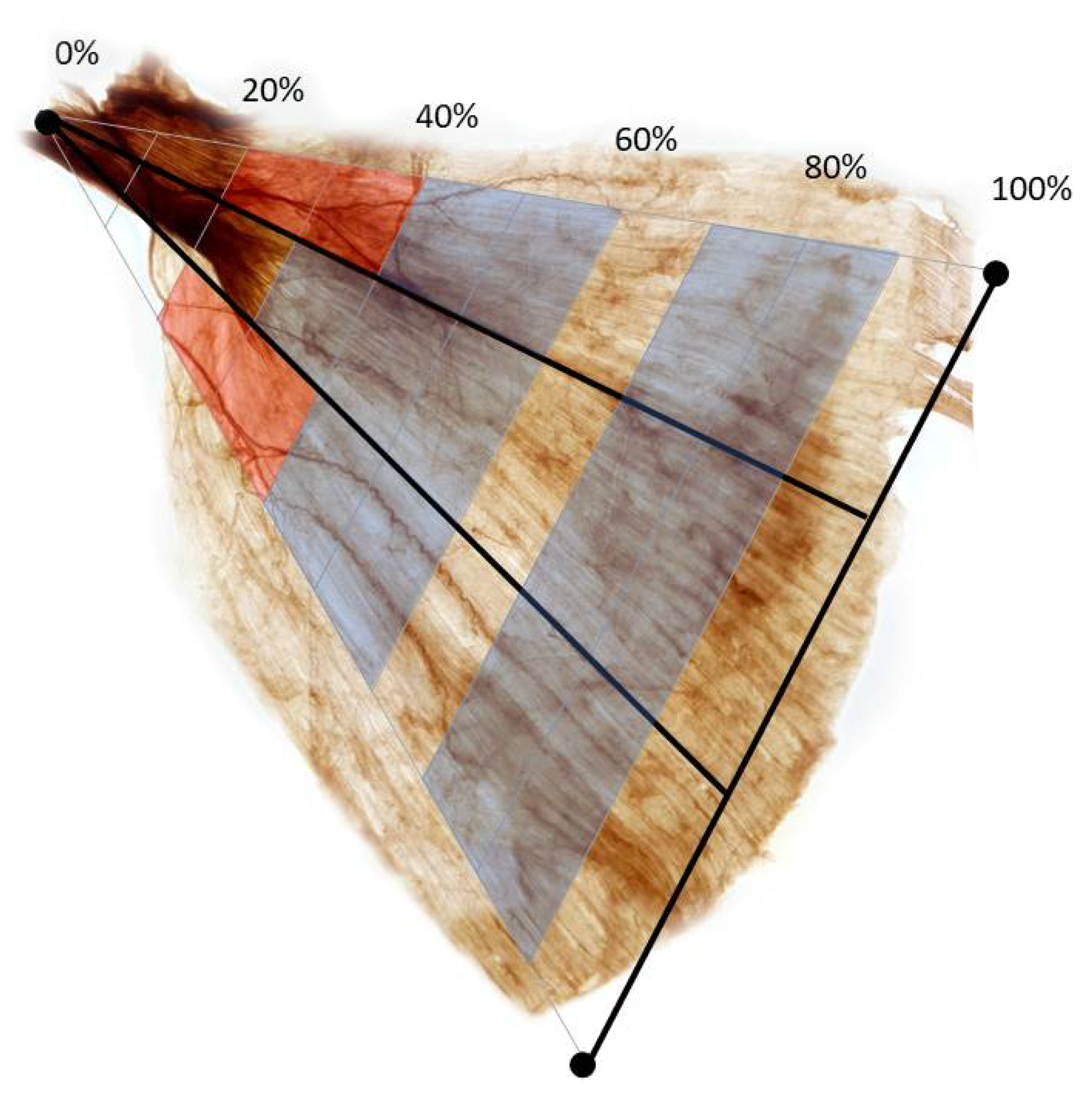 Toxins 14 00107 g002 550