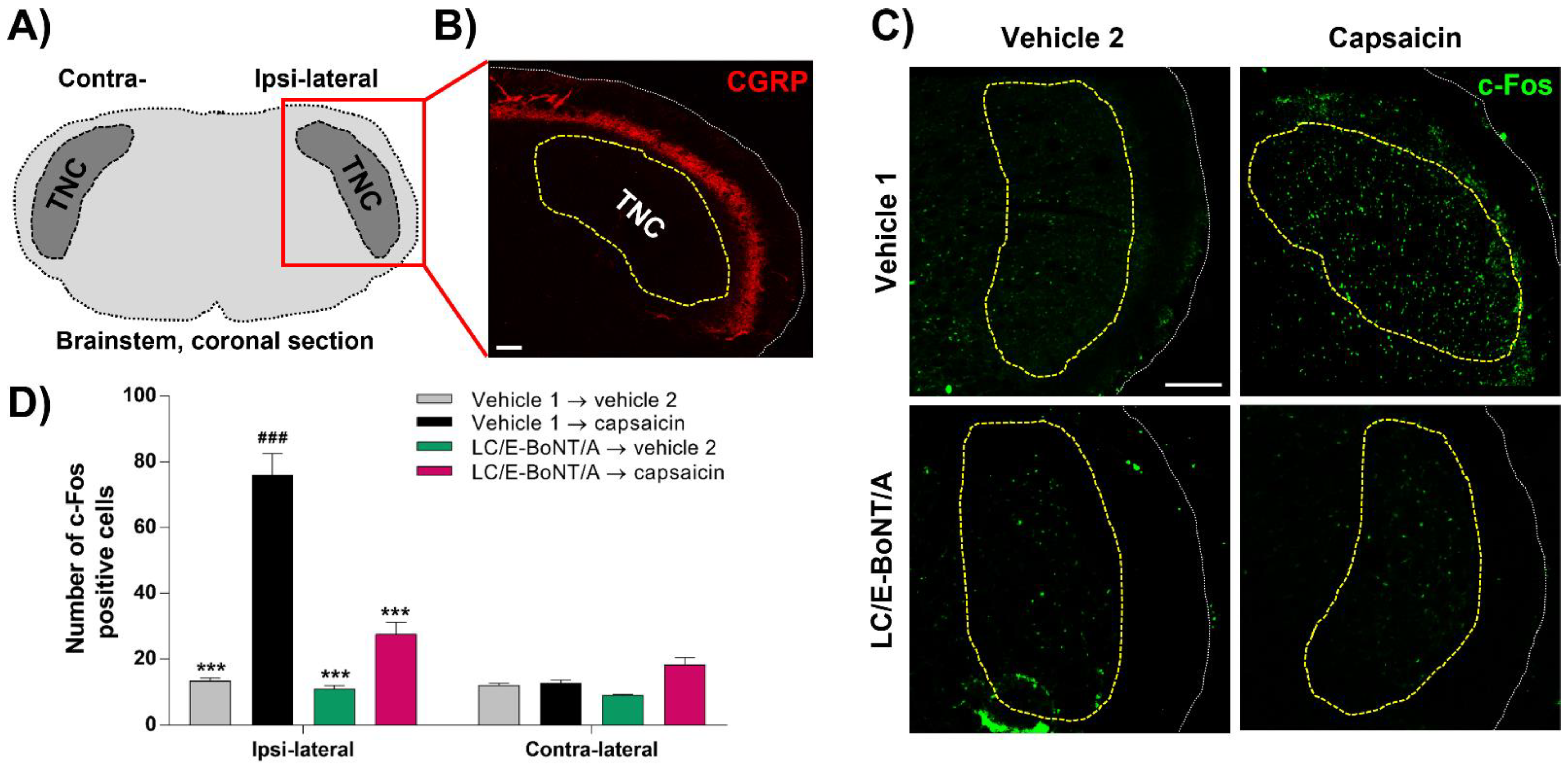 Toxins 14 00116 g004 Toxins 14 00116 g004