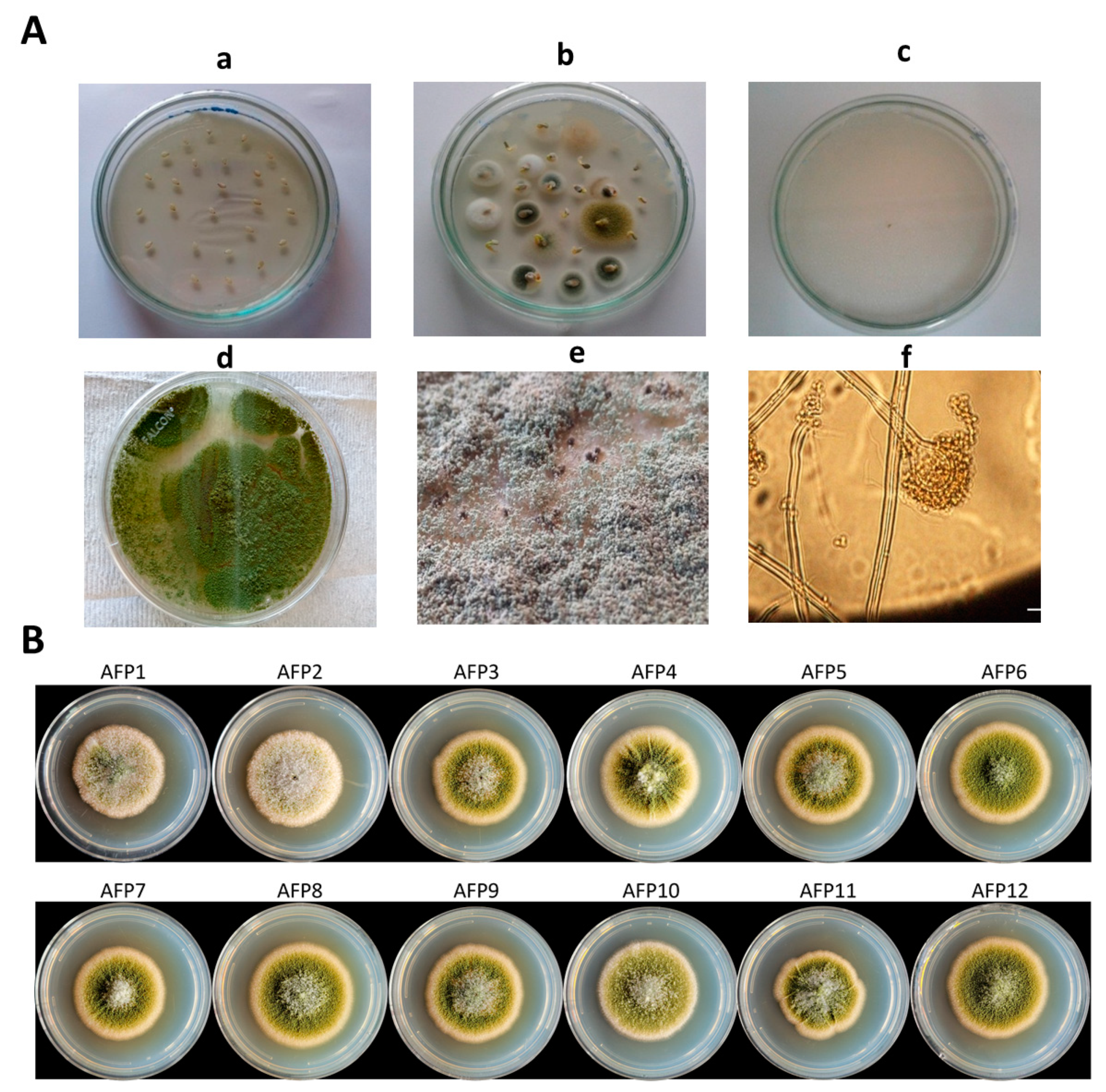 Toxins 14 00117 g002 Toxins 14 00117 g002