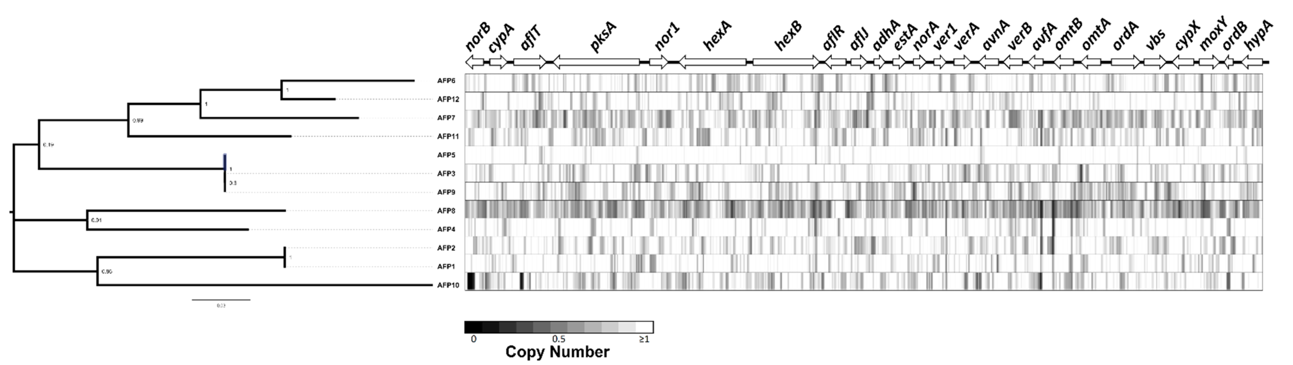 Toxins 14 00117 g006 Toxins 14 00117 g006