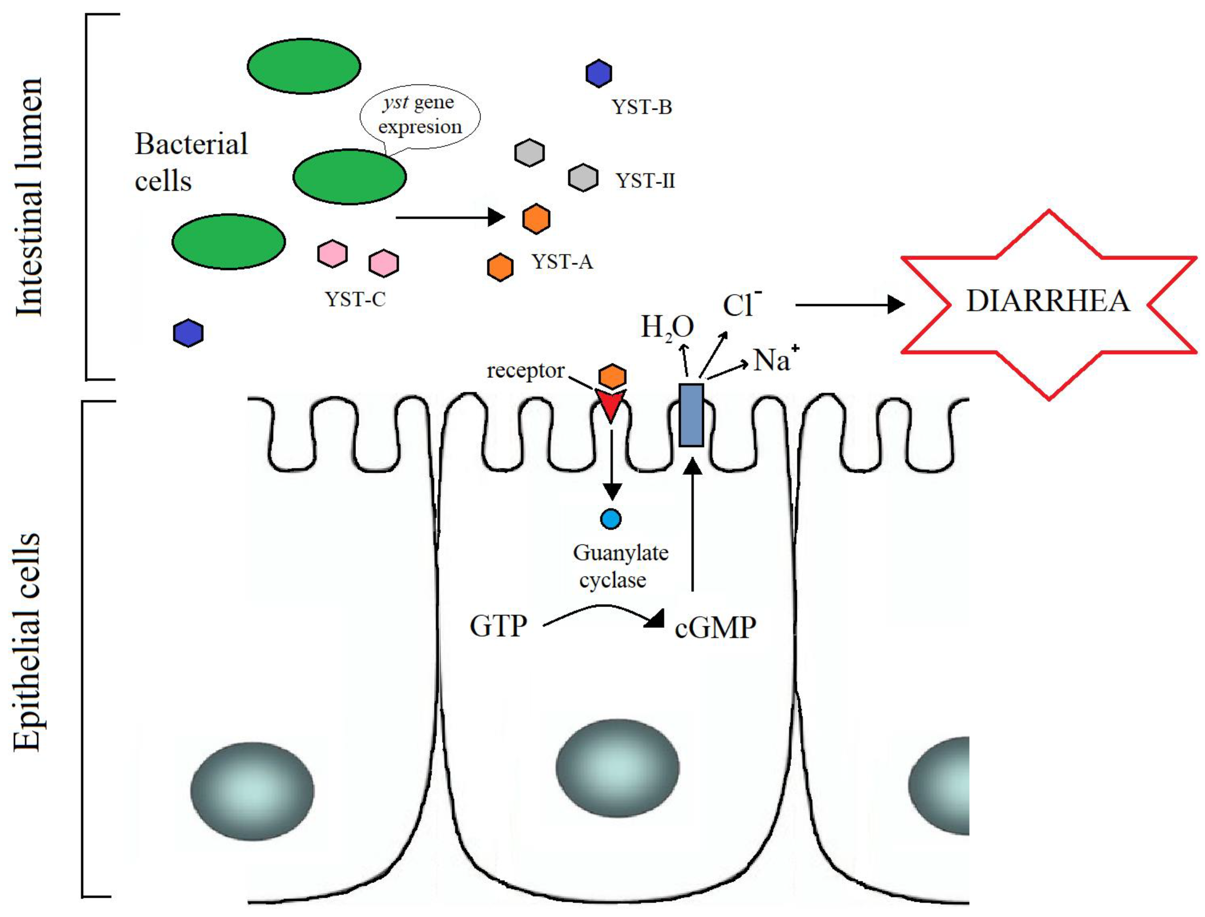Toxins 14 00118 g002