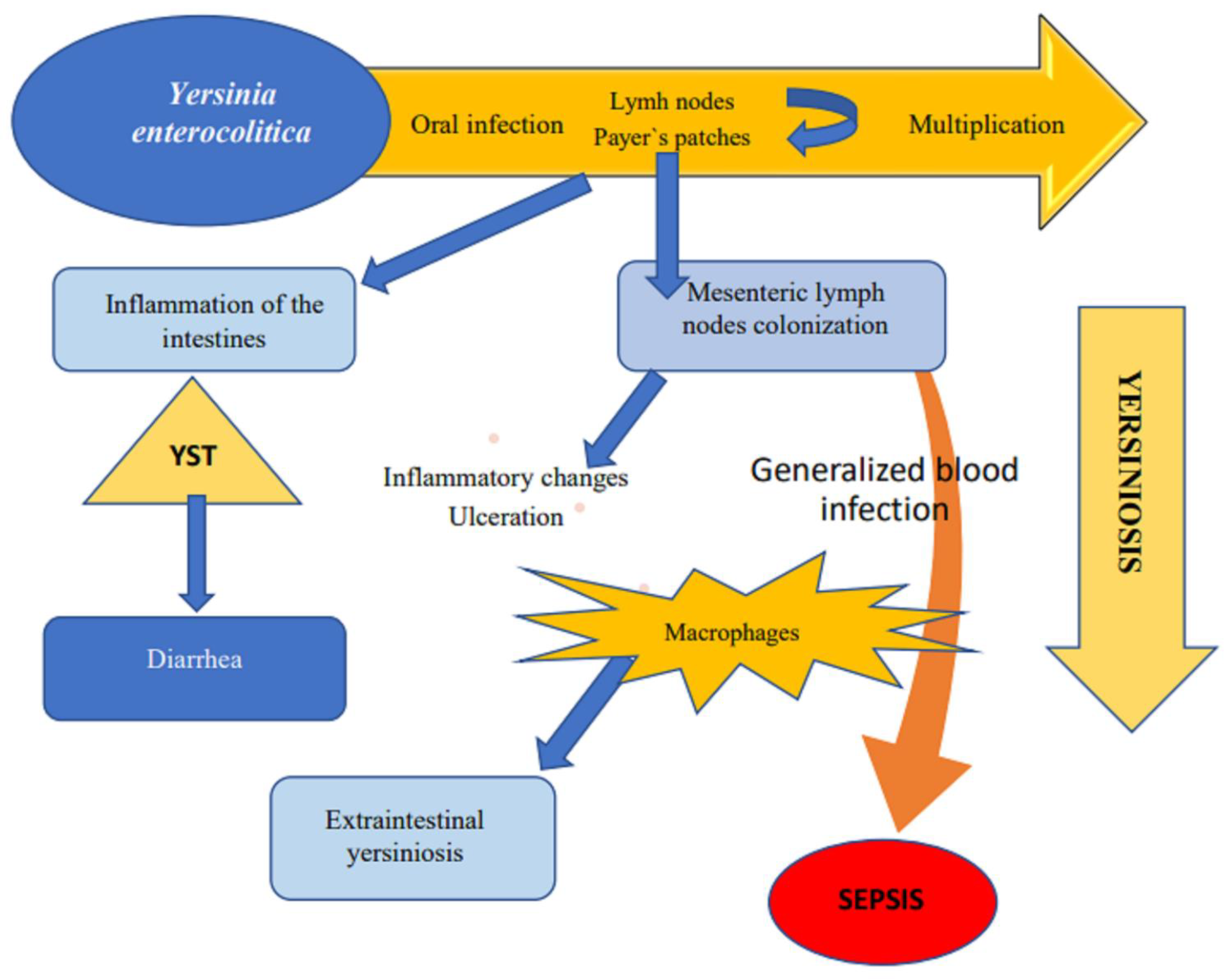 Toxins 14 00118 g004