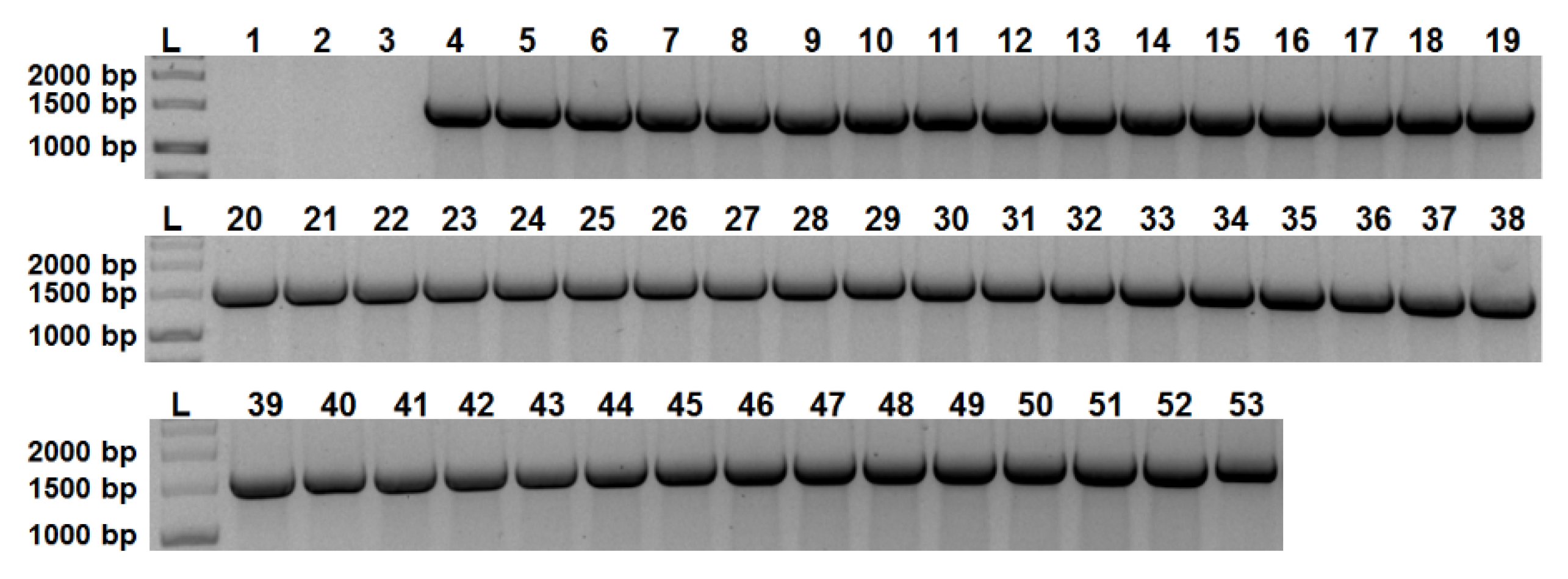Toxins 14 00119 g001 Toxins 14 00119 g001