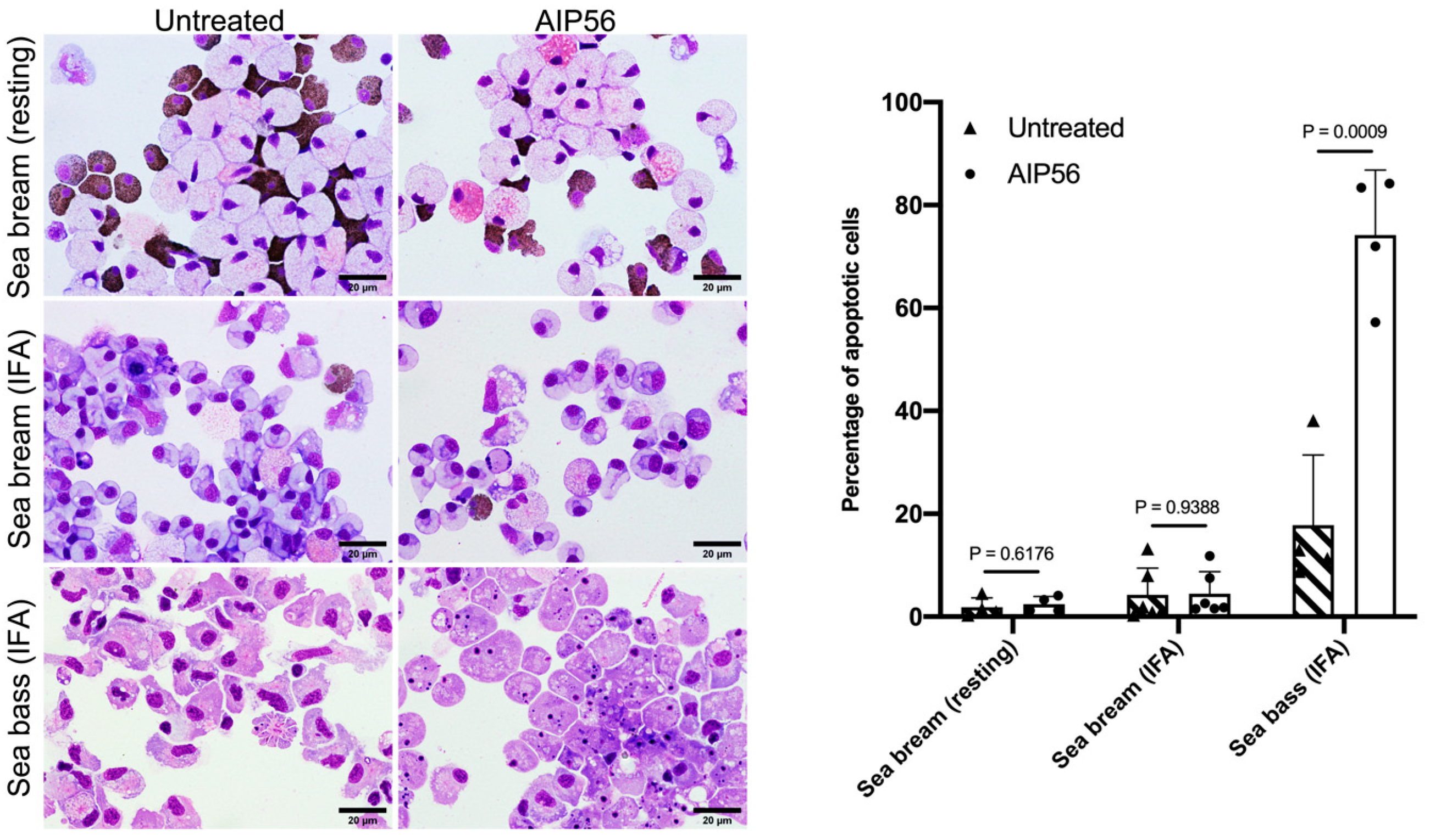 Toxins 14 00119 g002 Toxins 14 00119 g002