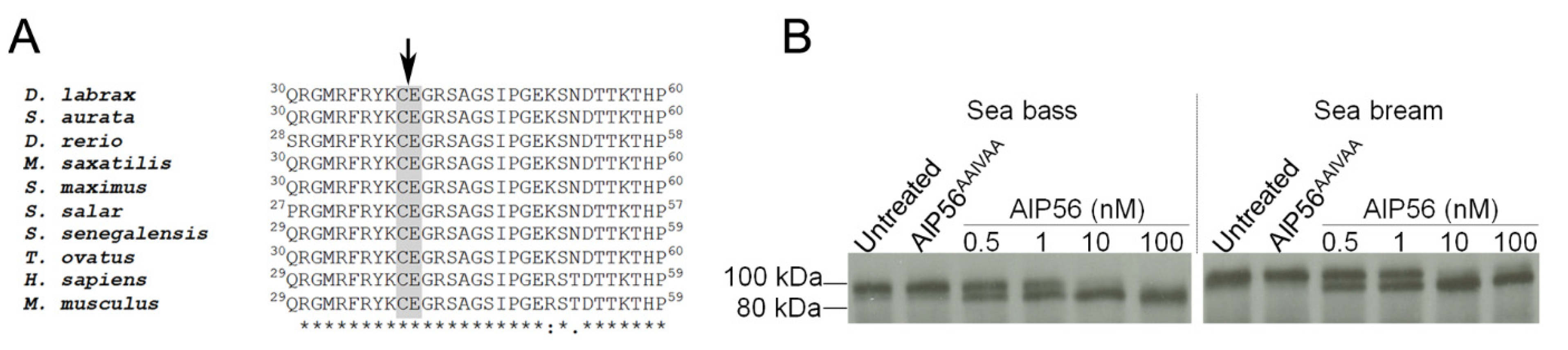 Toxins 14 00119 g003 Toxins 14 00119 g003