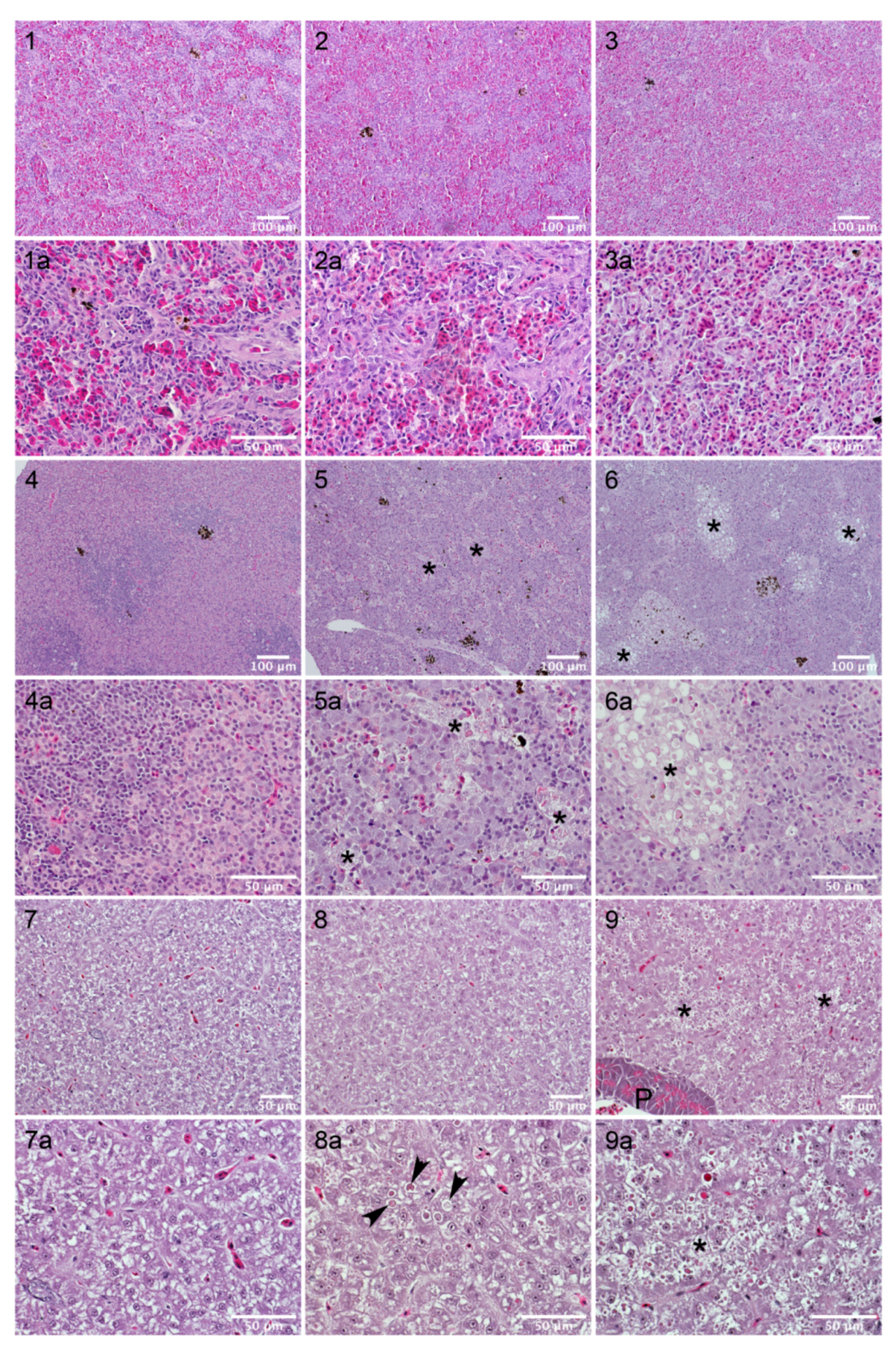 Toxins 14 00119 g006 Toxins 14 00119 g006