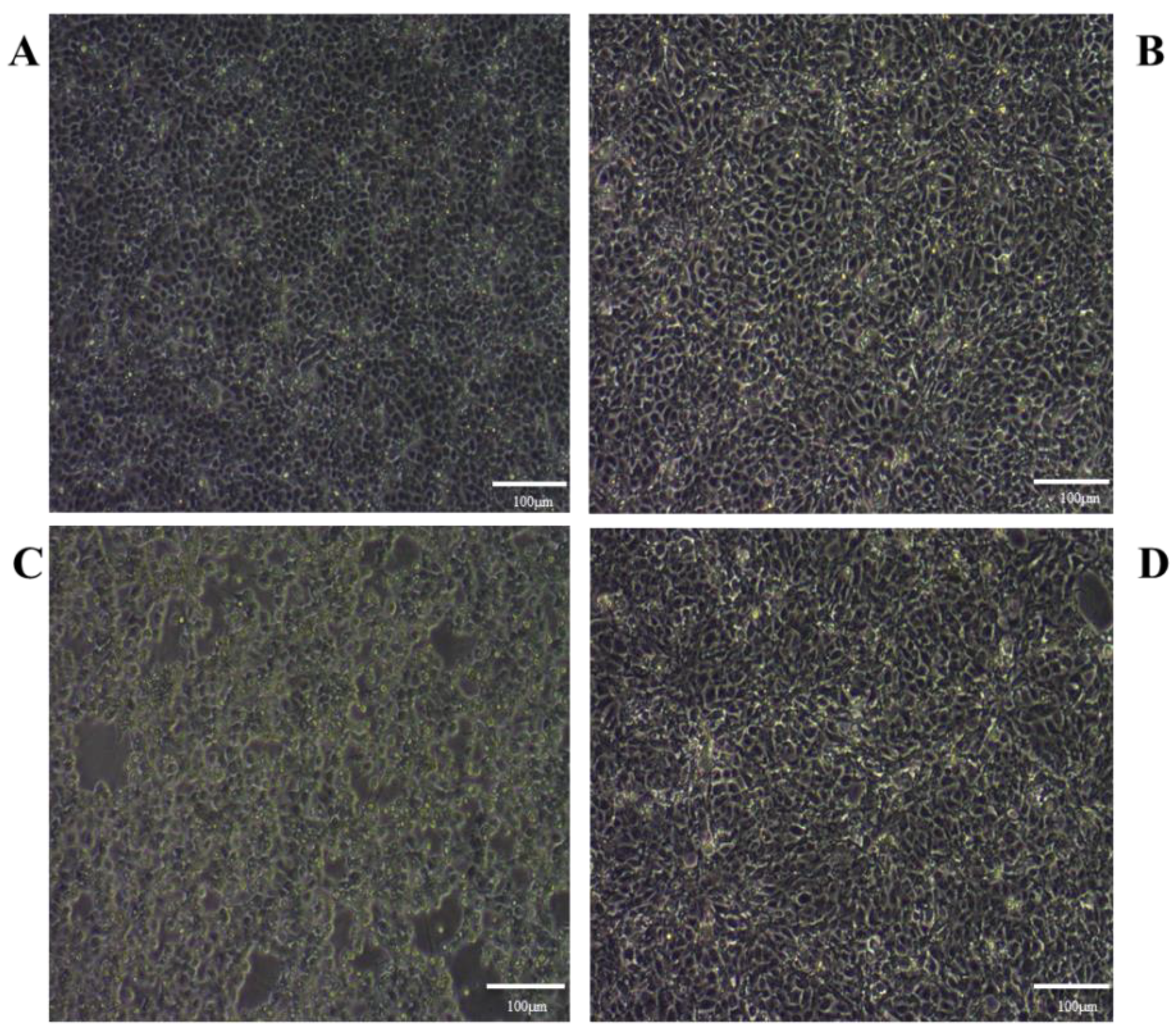 Toxins 14 00121 g002