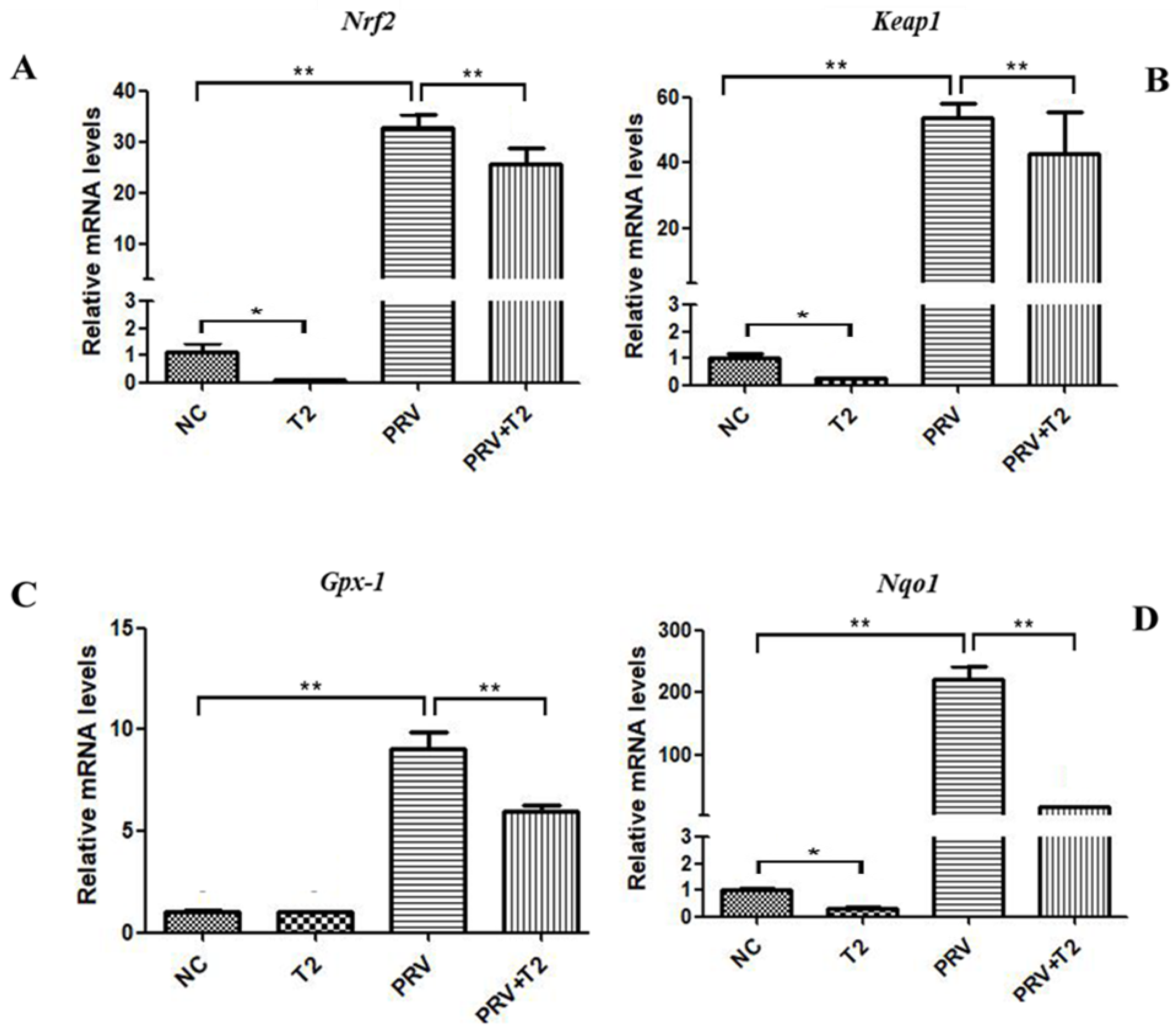 Toxins 14 00121 g006