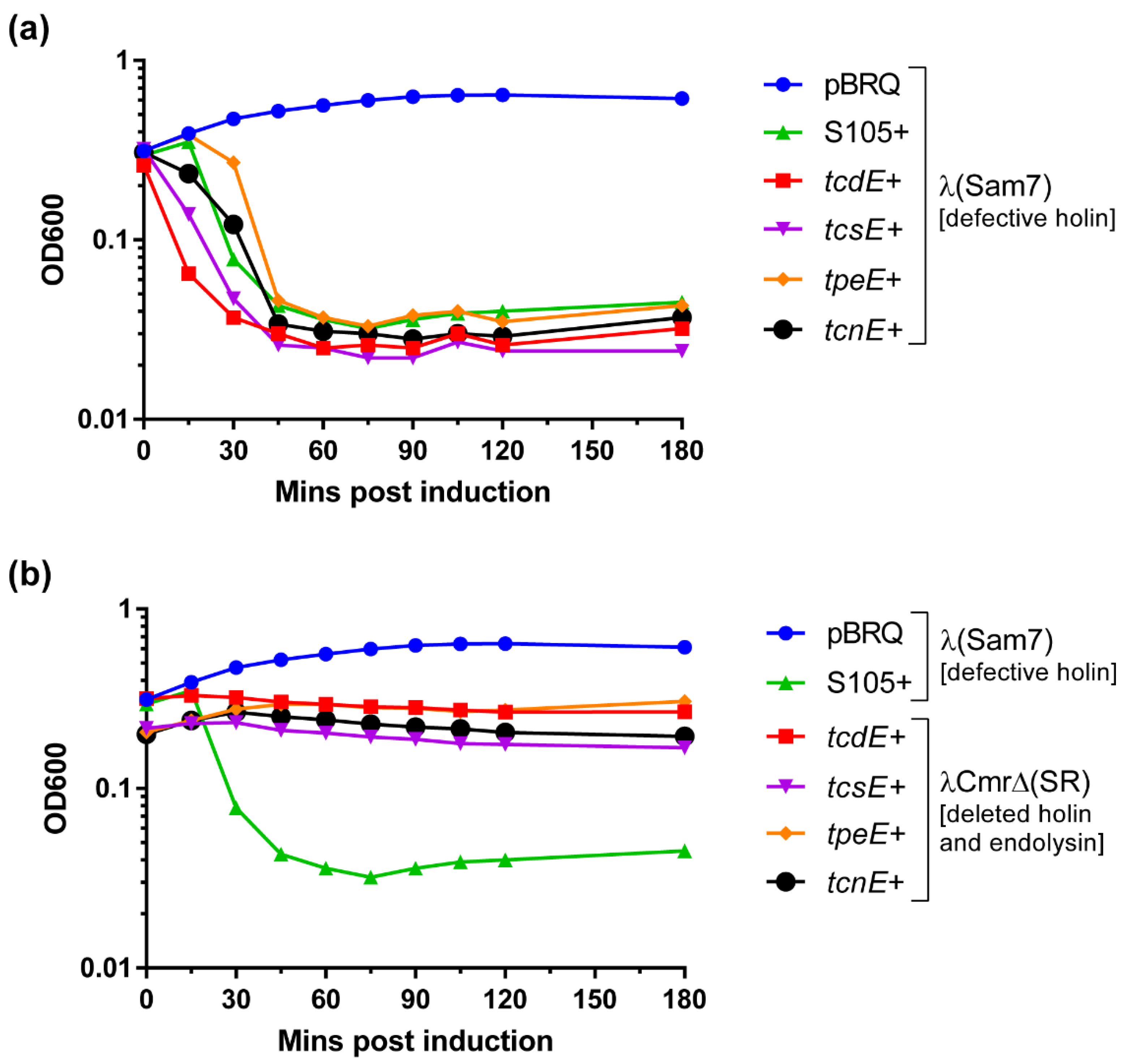Toxins 14 00124 g003