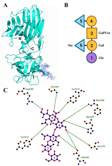 Botulinum toxin - Wikipedia