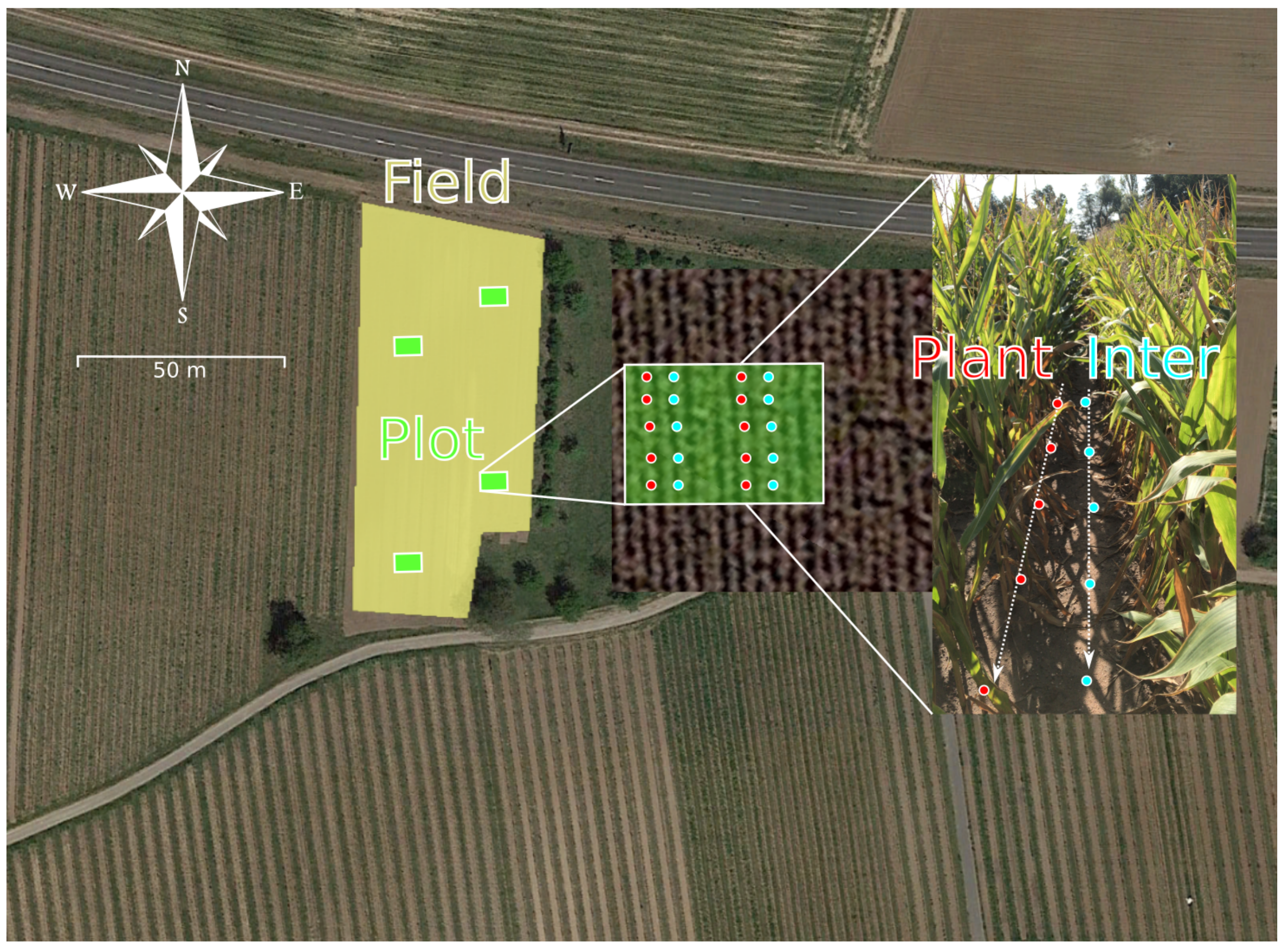 Toxins 14 00130 g001