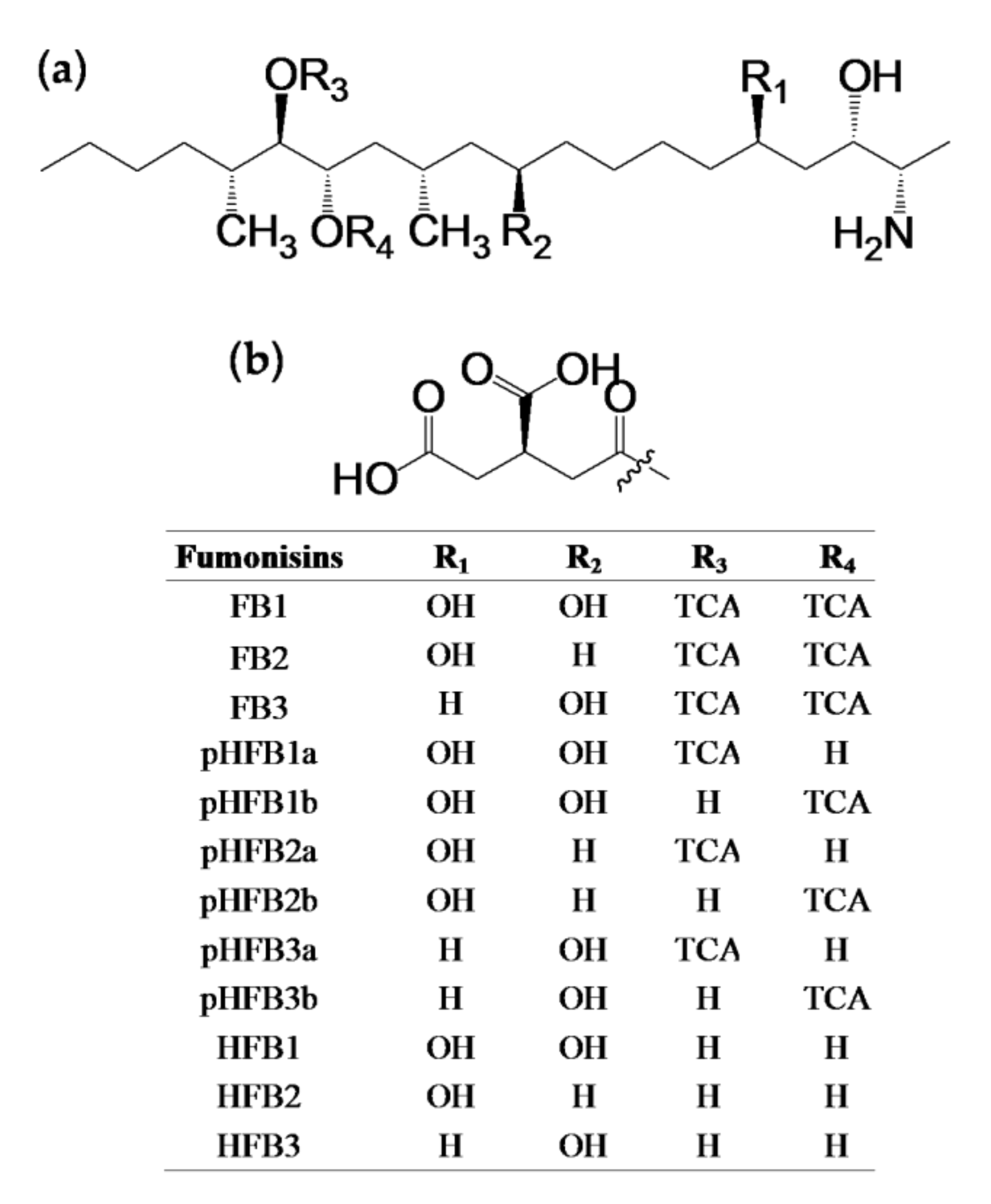 Toxins 14 00131 g001