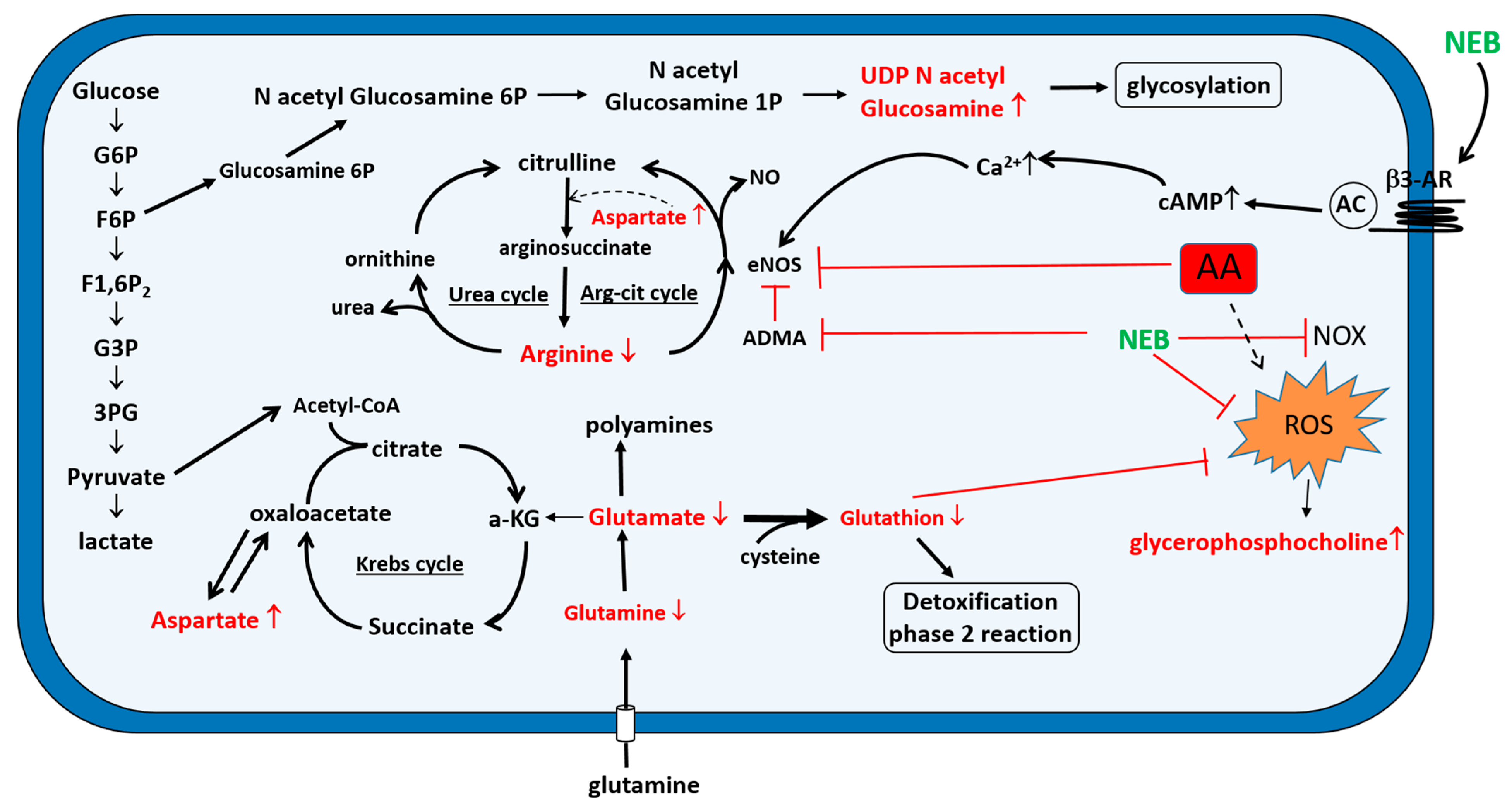 Toxins 14 00132 g006
