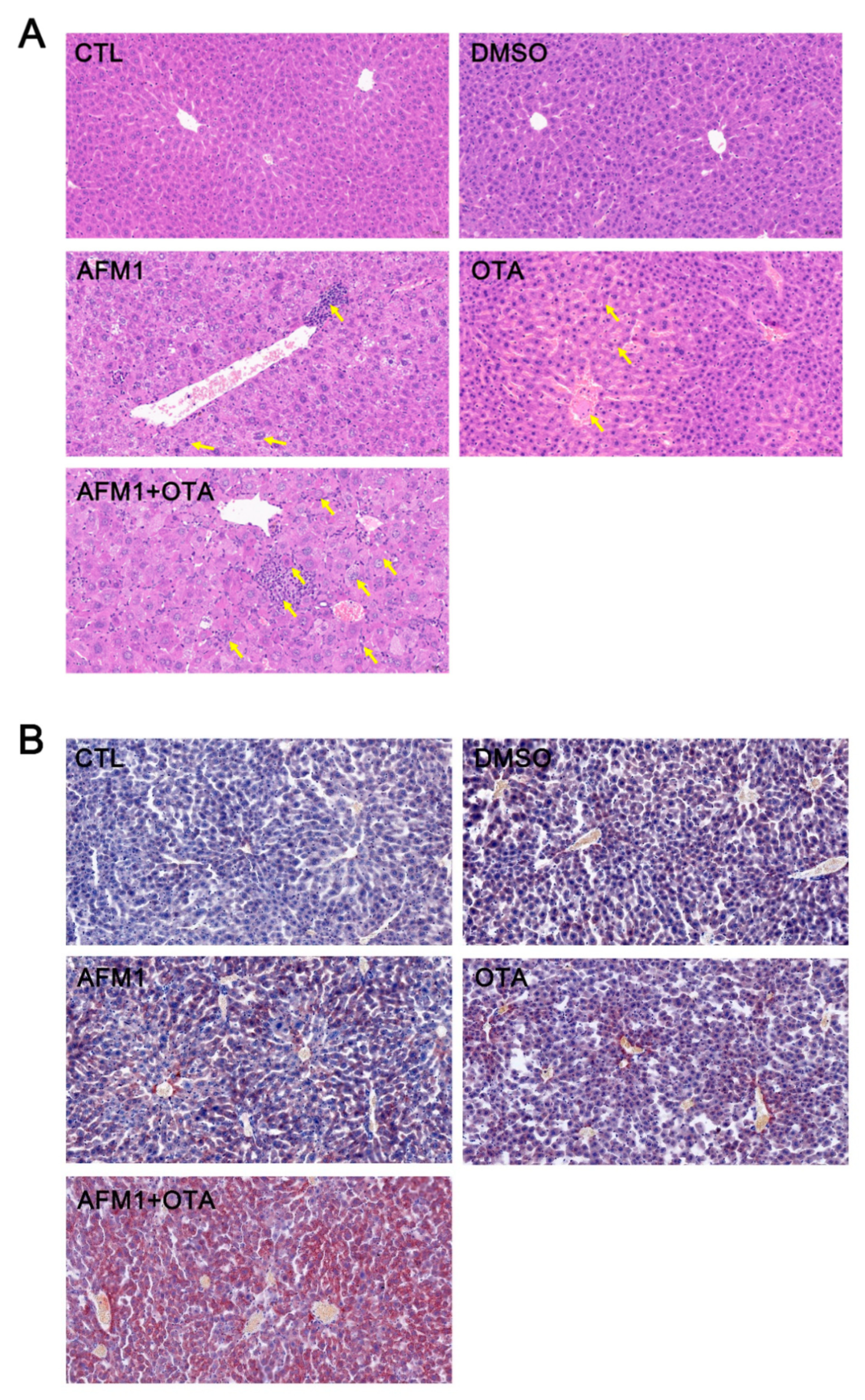 Toxins 14 00141 g002a