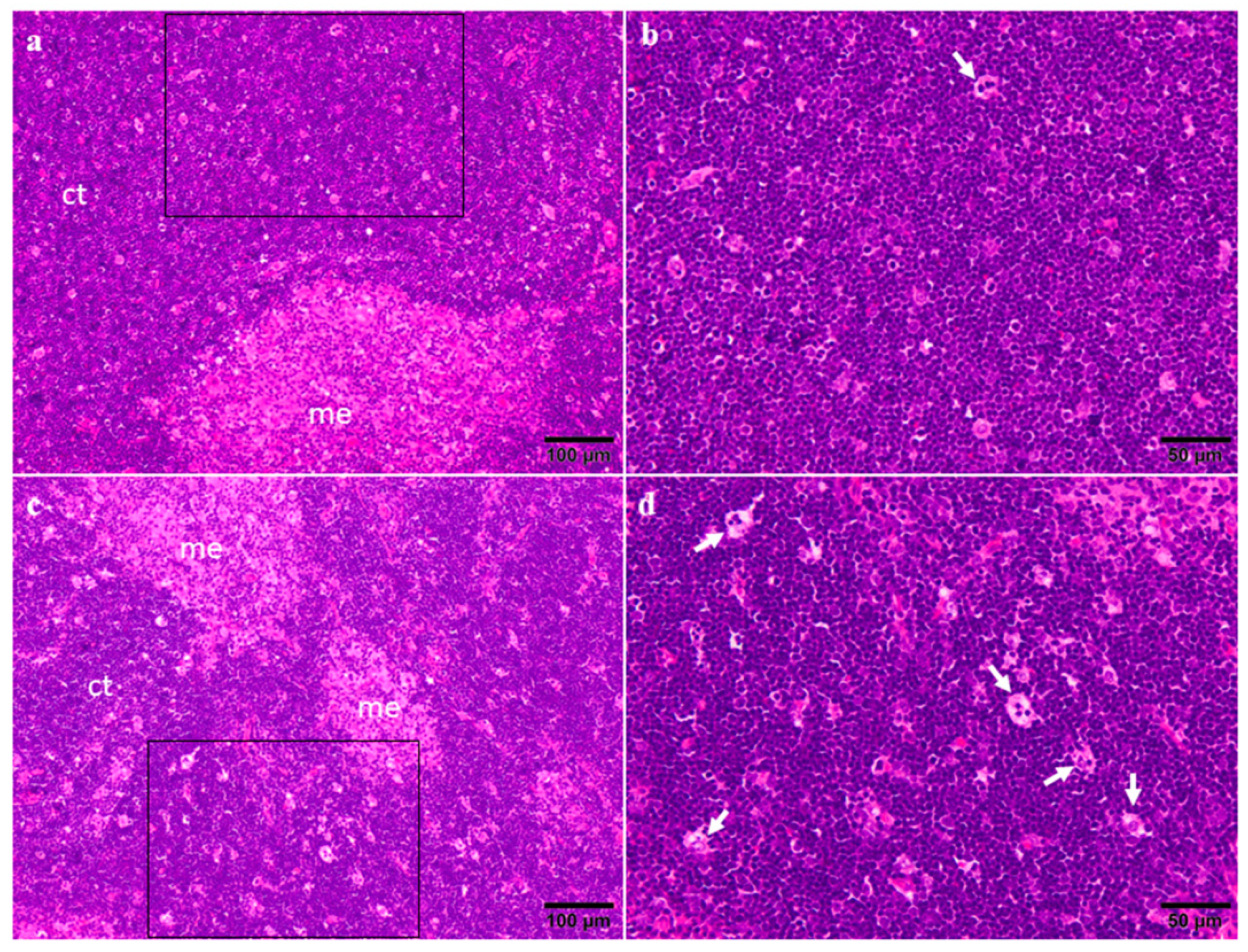 Toxins 14 00144 g003