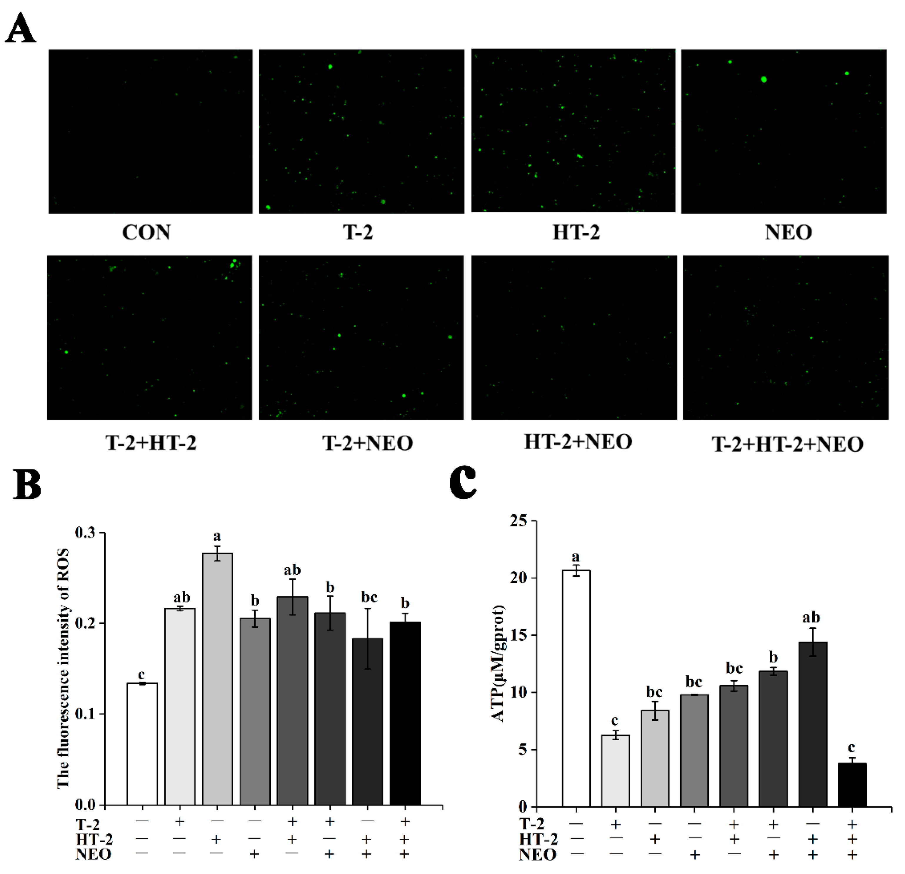 Toxins 14 00145 g001 Toxins 14 00145 g001