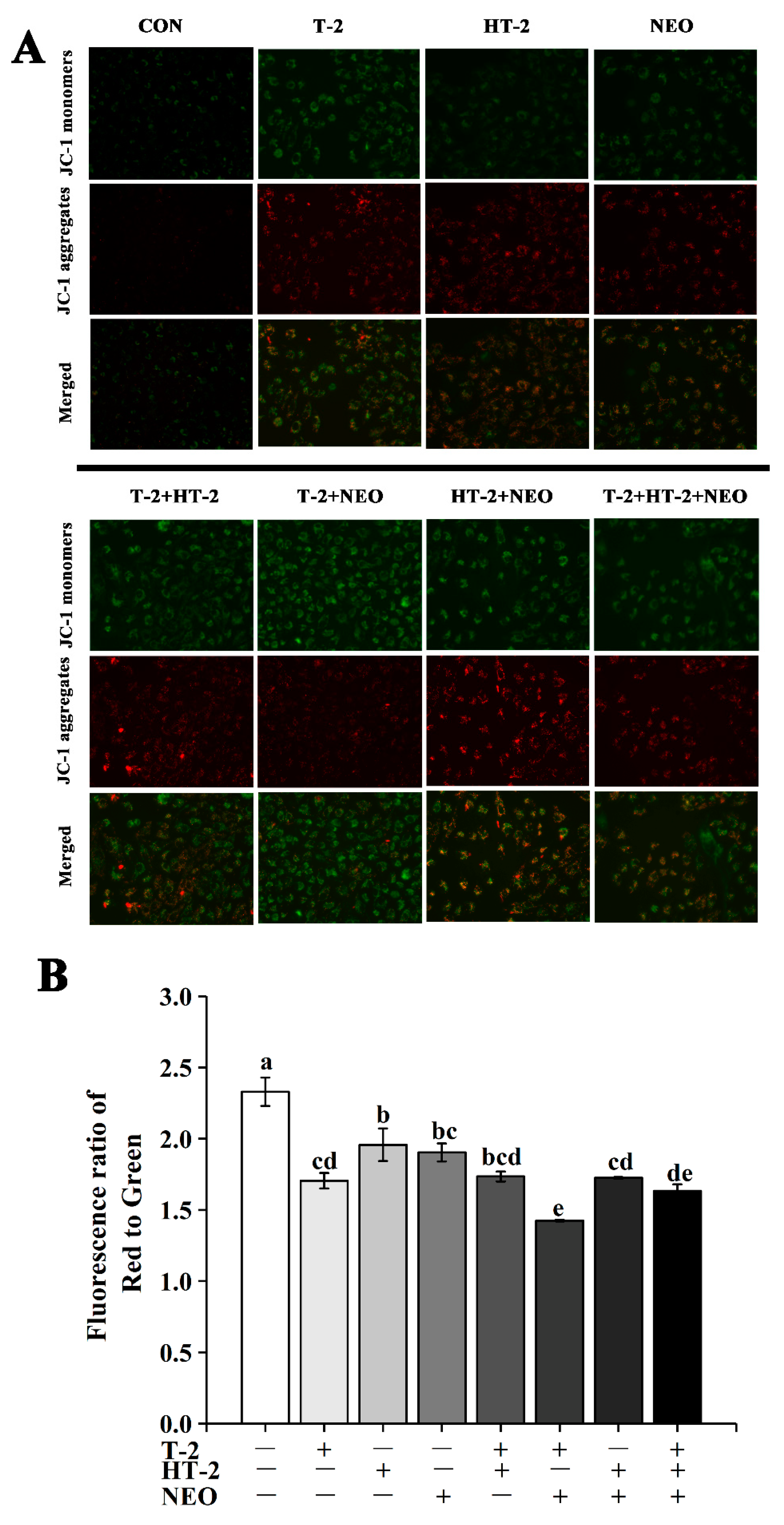 Toxins 14 00145 g002 Toxins 14 00145 g002